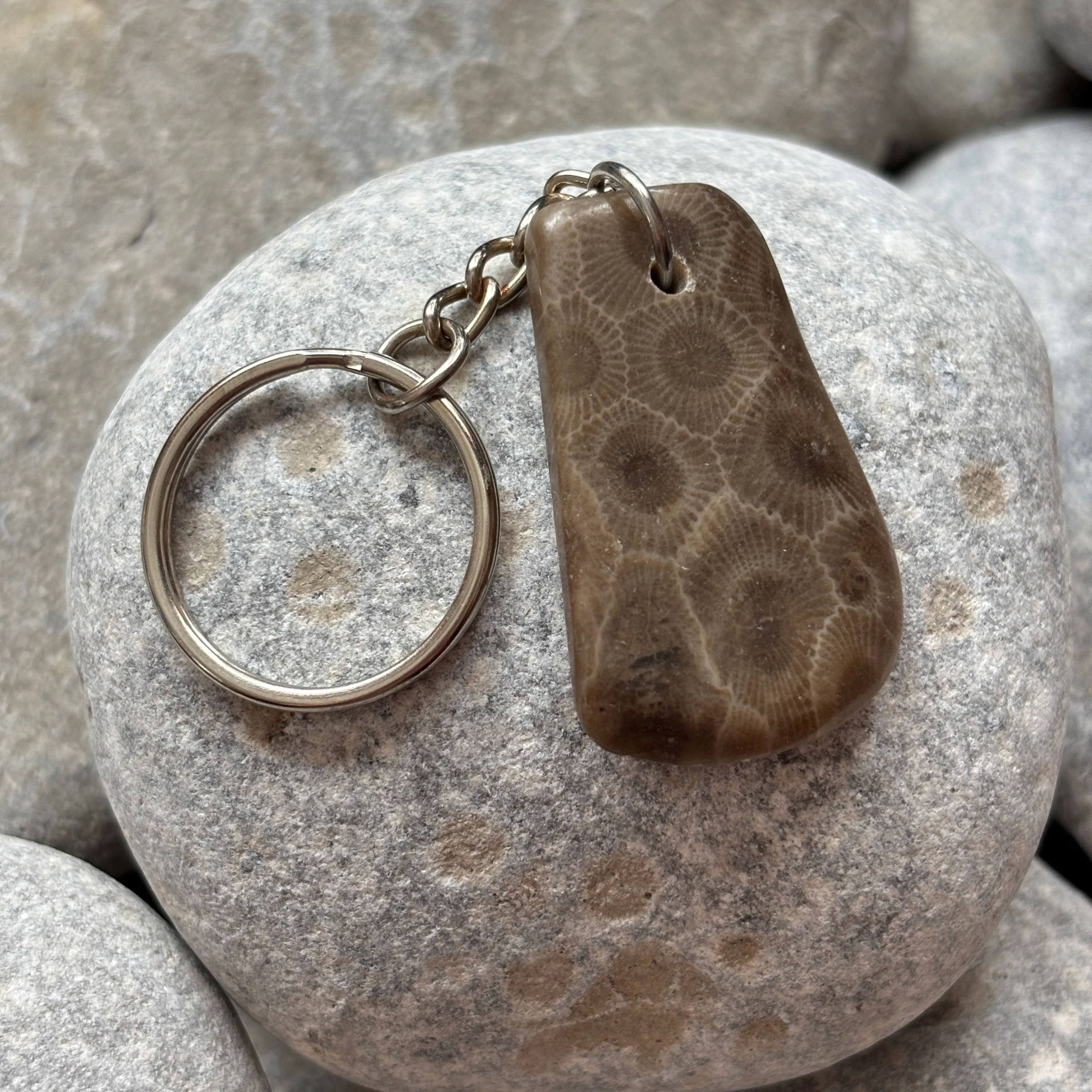 Polished Petoskey Stone Keychain - Image 3
