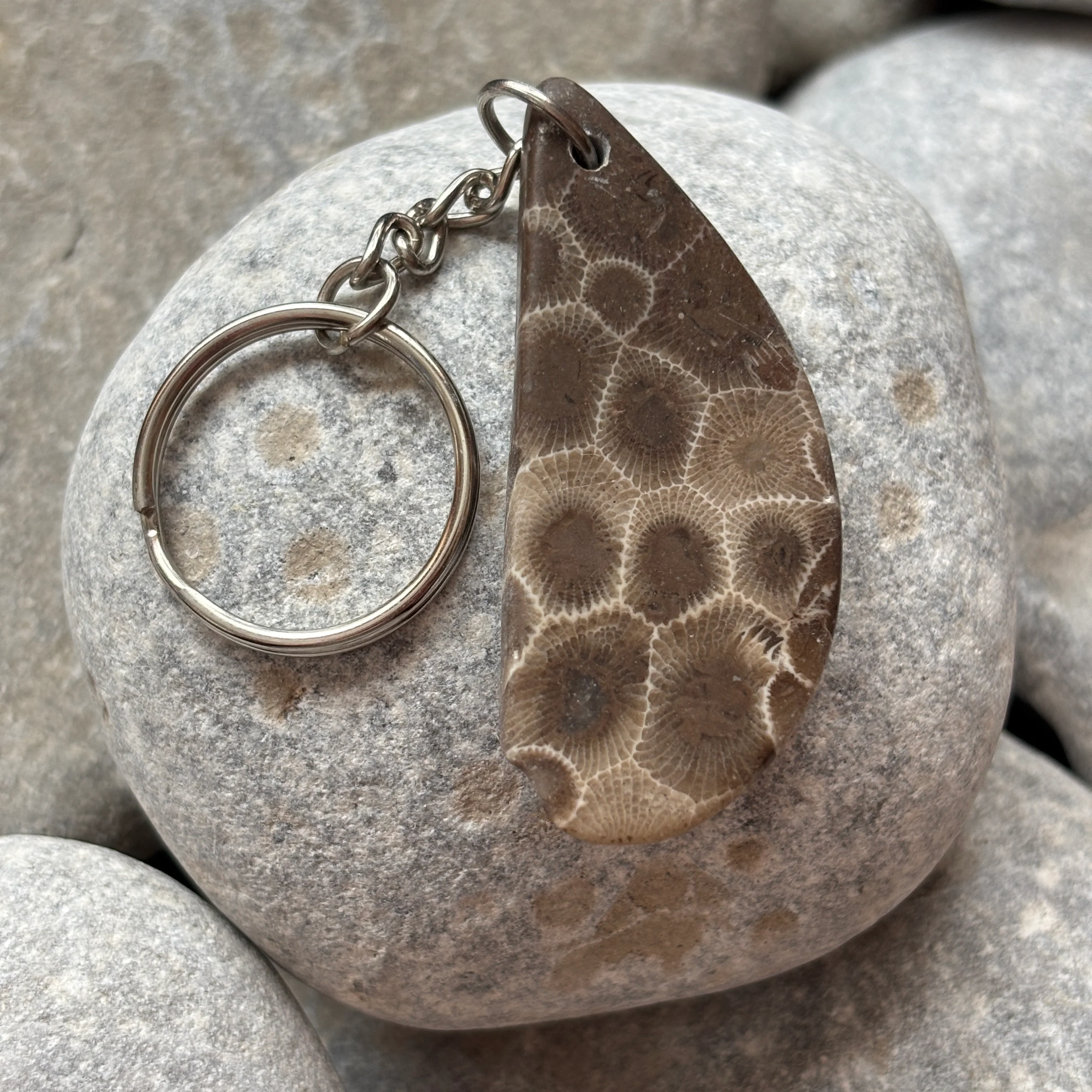 Polished Petoskey Stone Keychain - Image 4