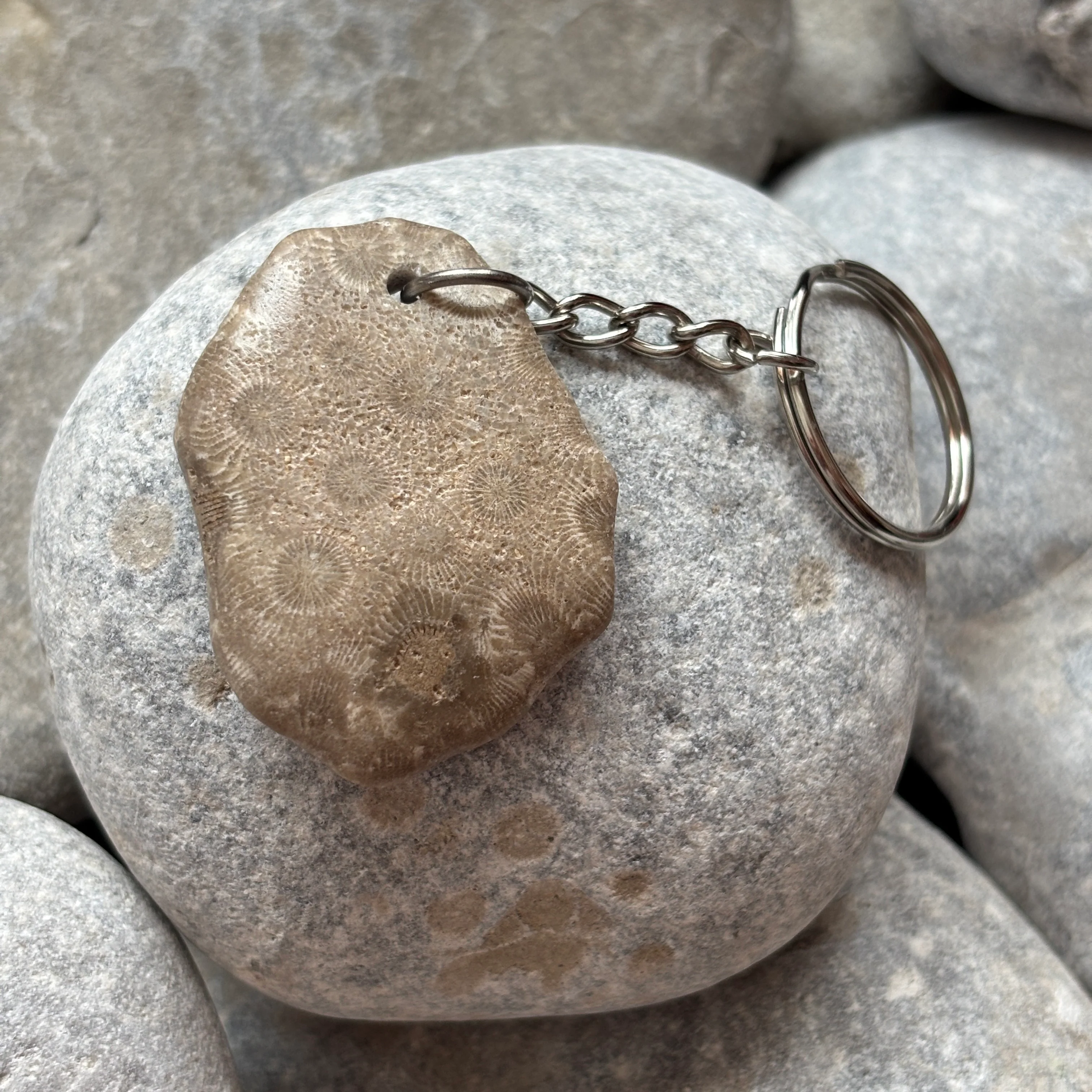 Polished Petoskey Stone Keychain - Image 5