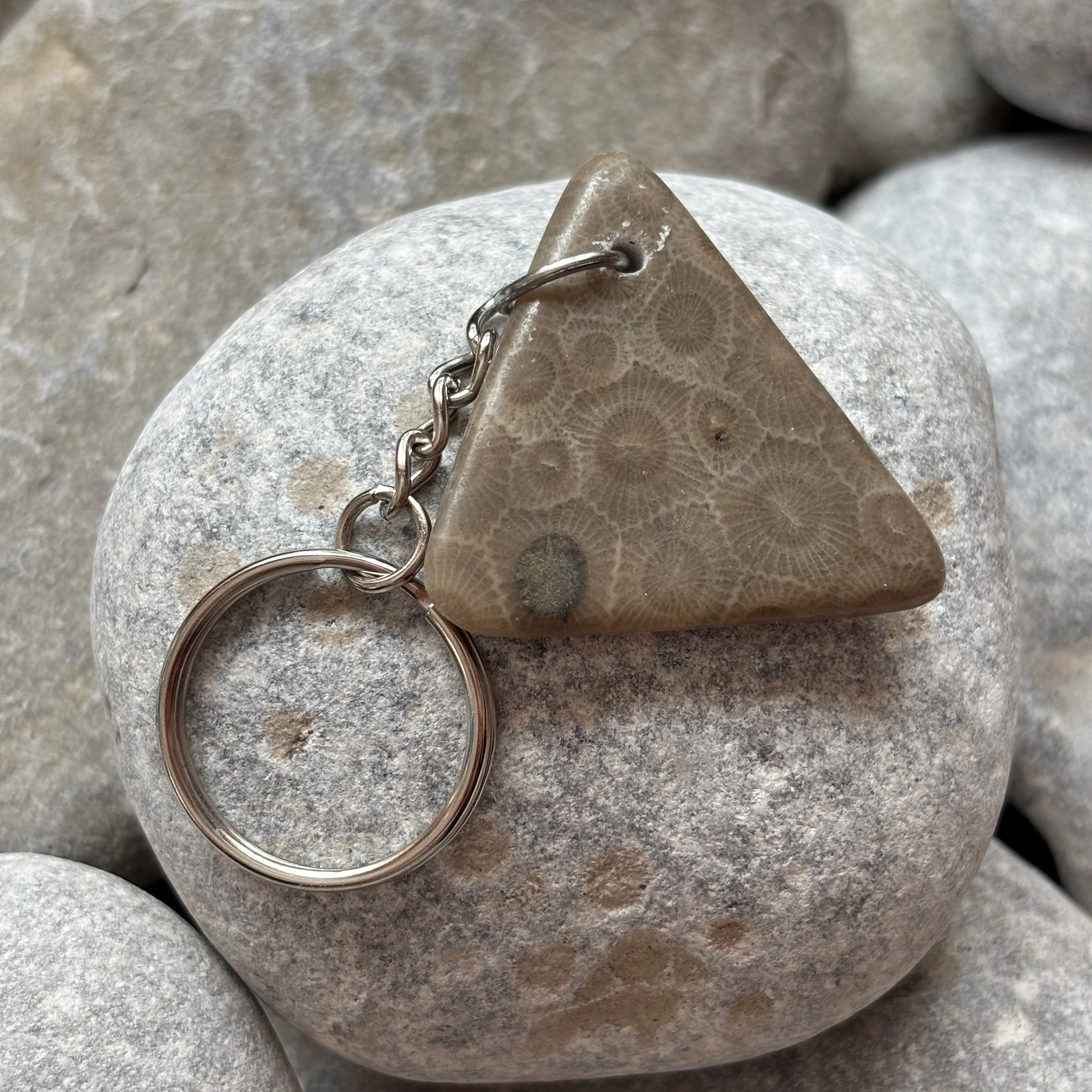 Polished Petoskey Stone Keychain - Image 6