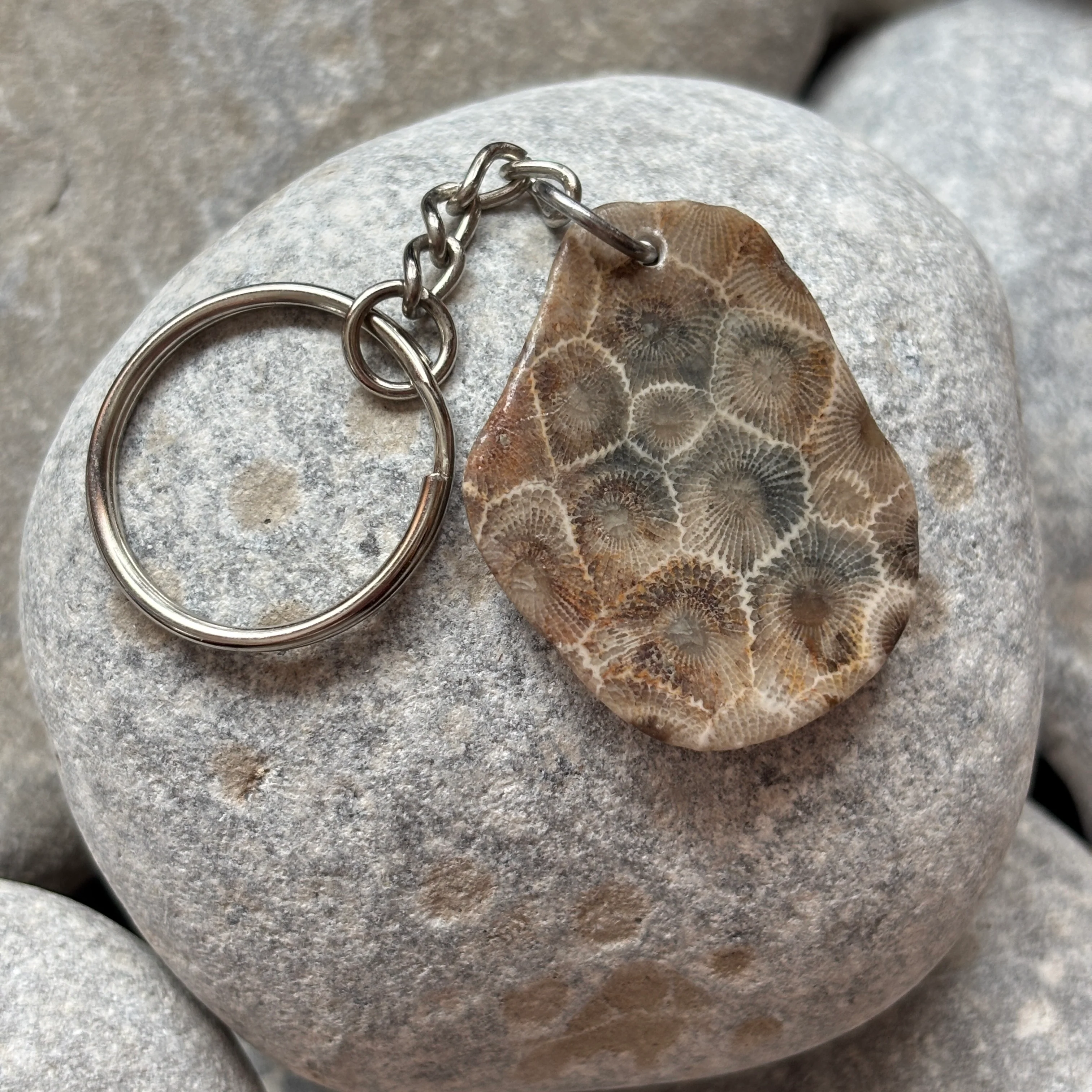 Polished Petoskey Stone Keychain - Image 7