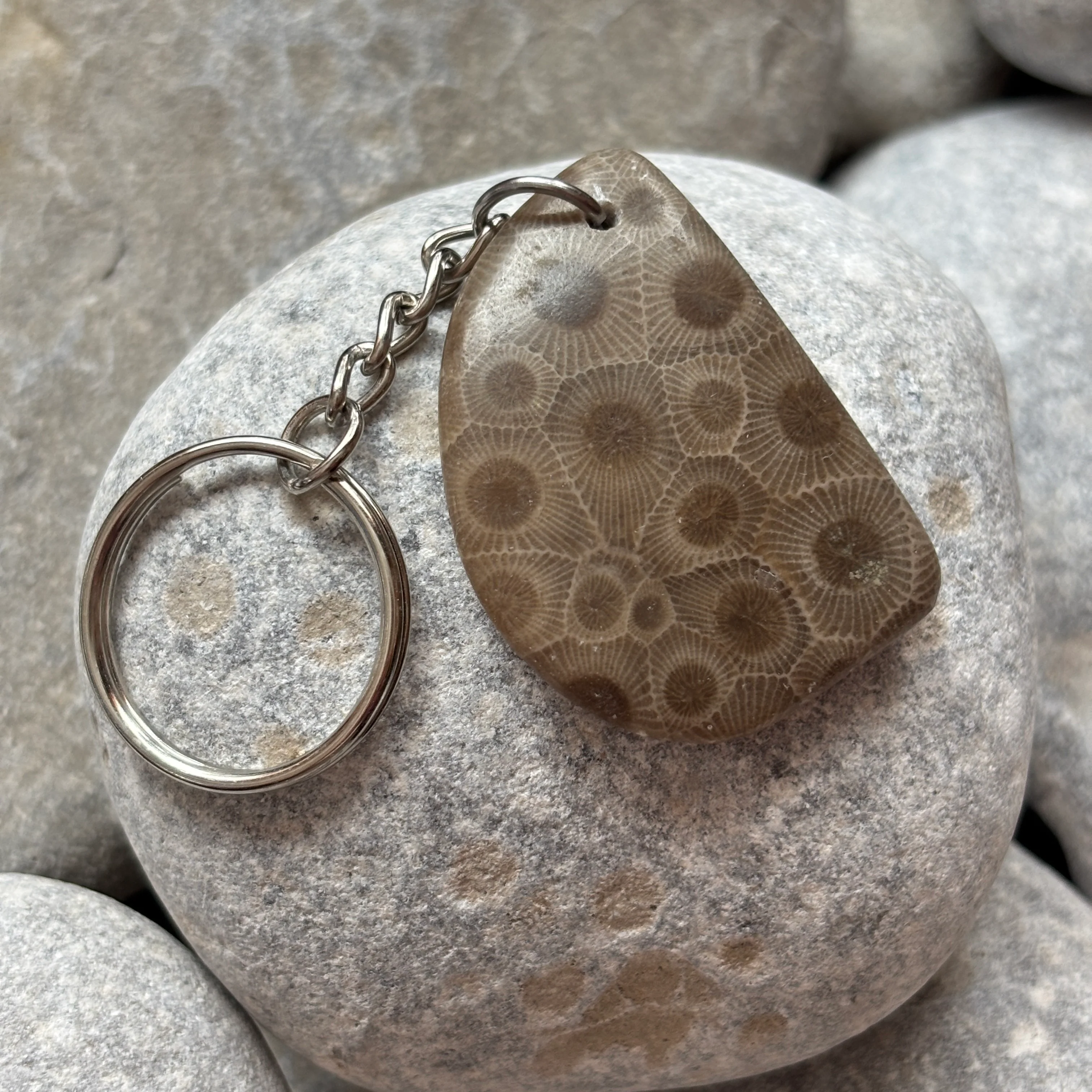 Polished Petoskey Stone Keychain - Image 8
