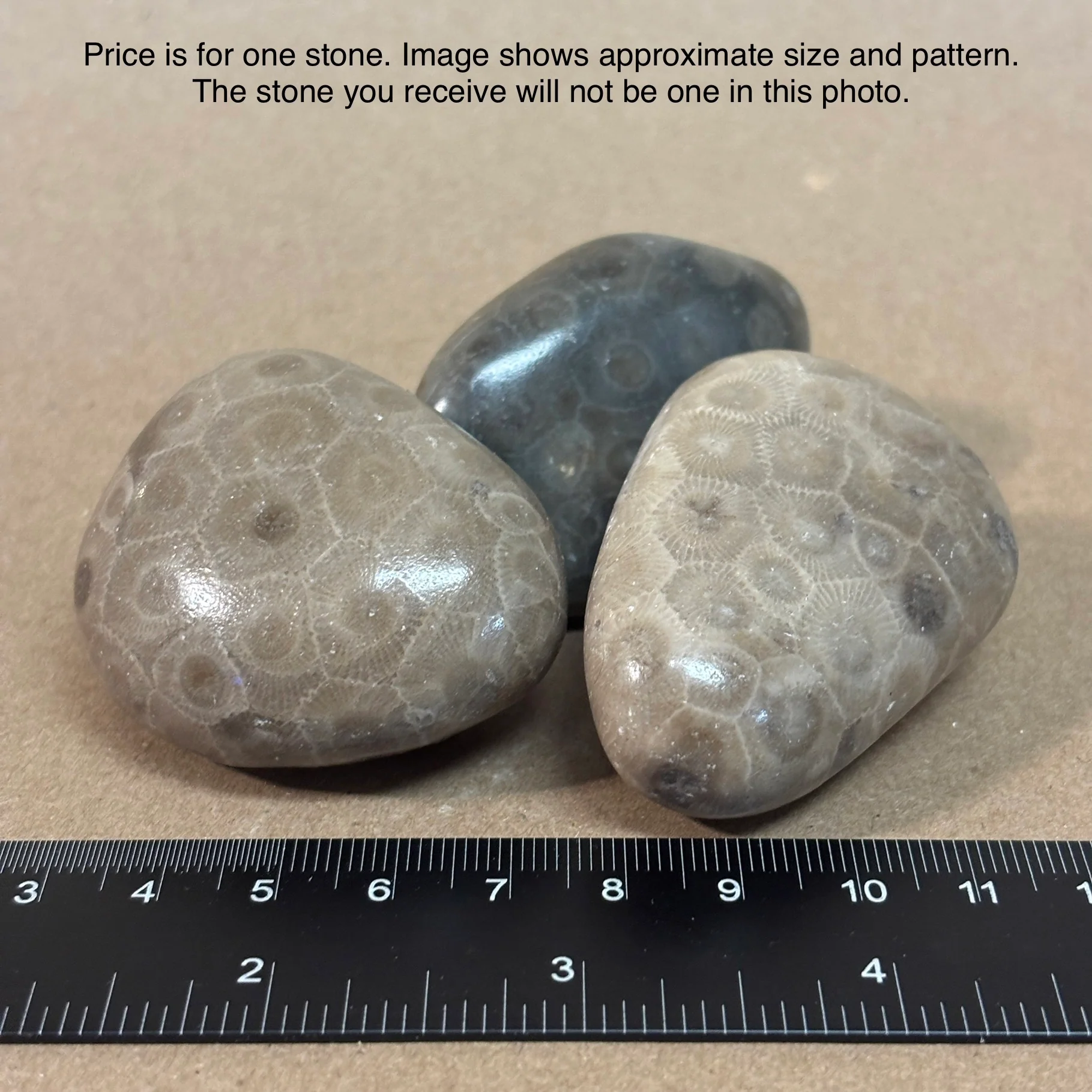 Fully Polished Petoskey Stone - Image 4