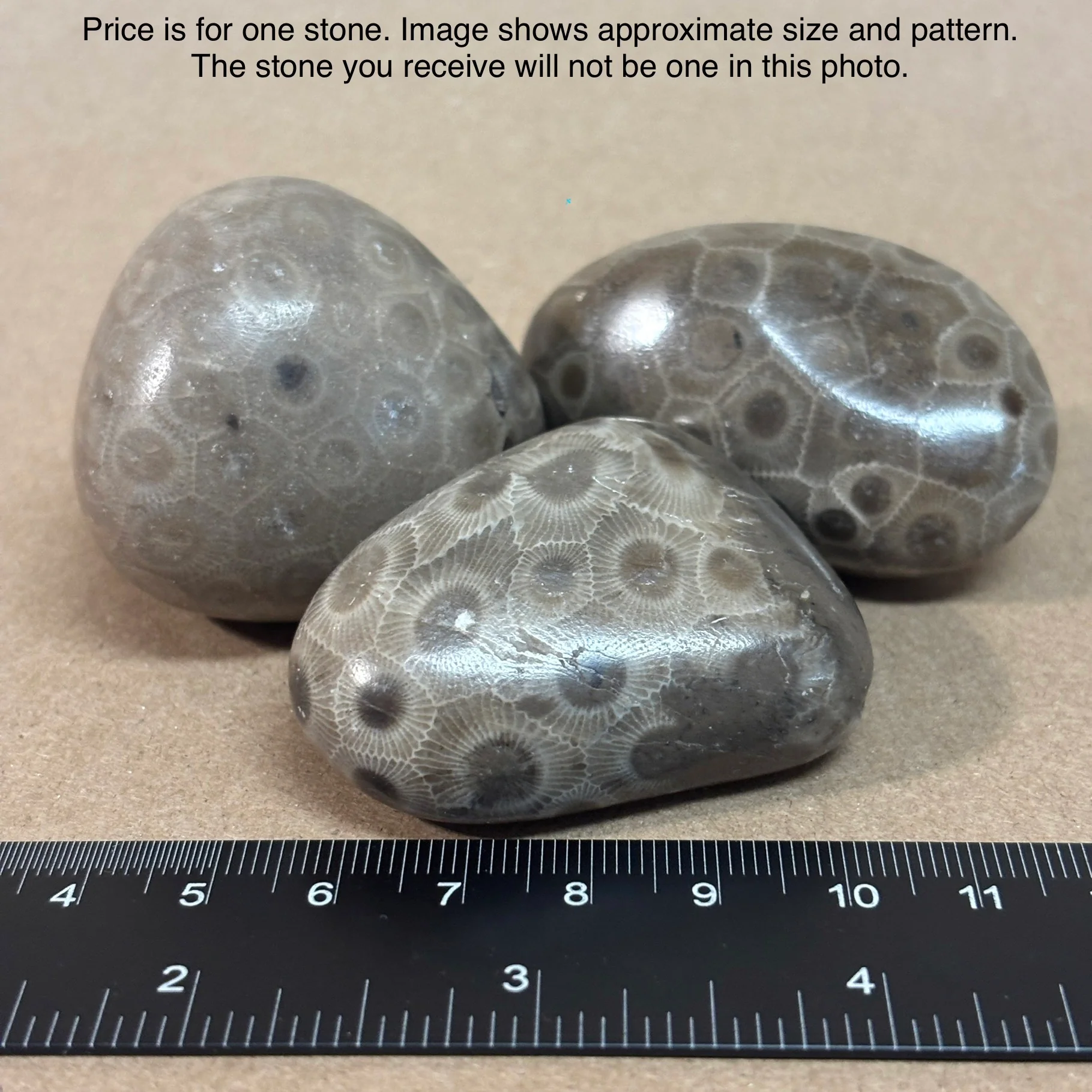 Fully Polished Petoskey Stone - Image 5