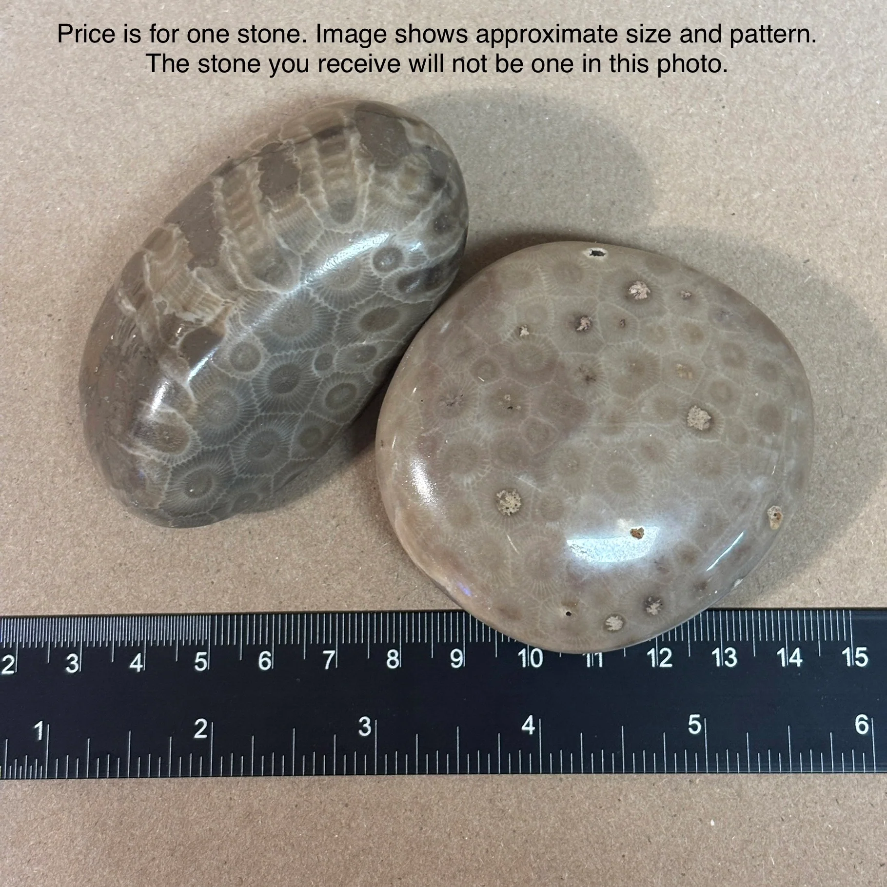 Fully Polished Petoskey Stone - Image 6