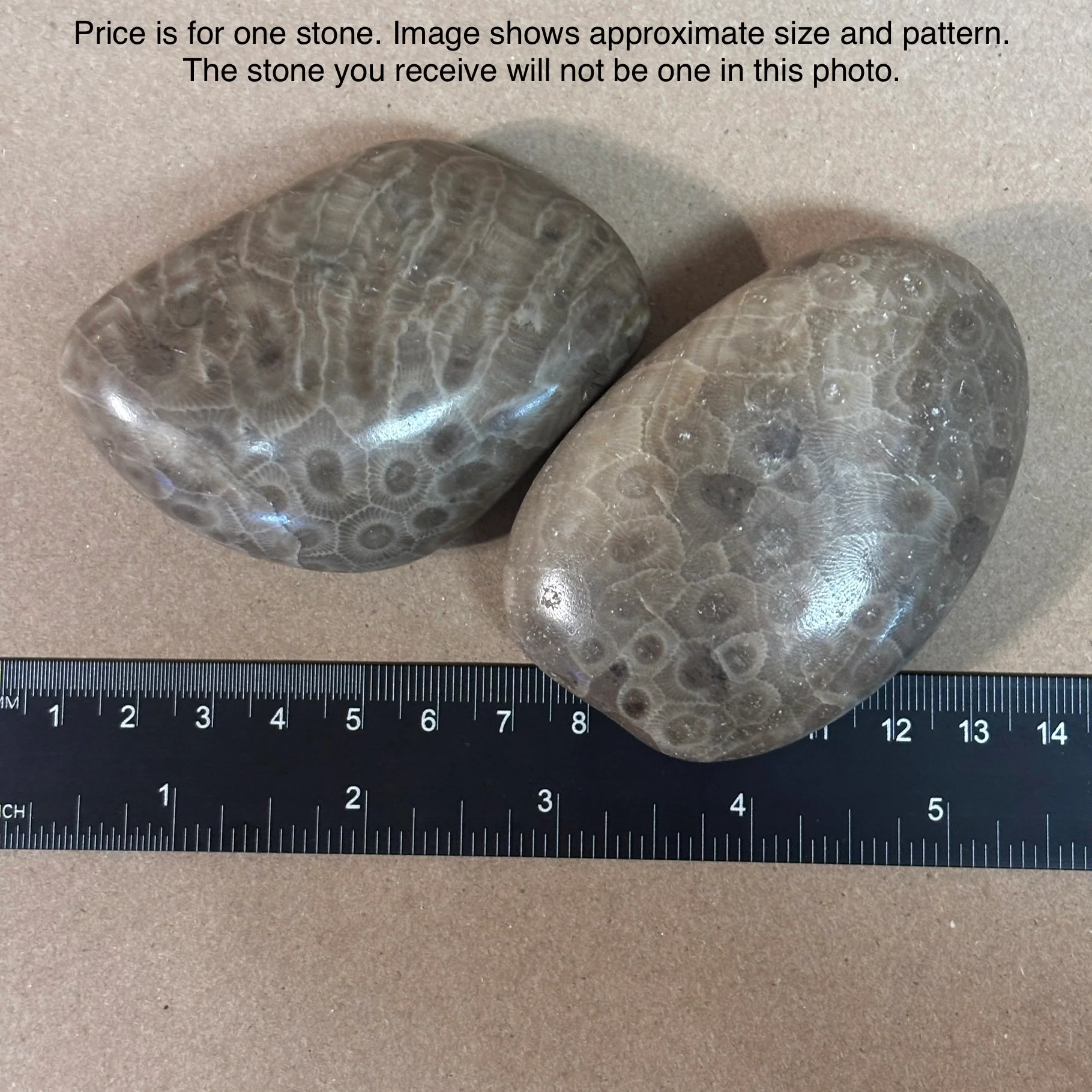 Fully Polished Petoskey Stone - Image 7