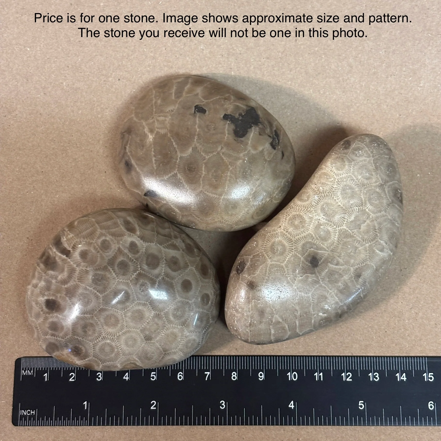 Fully Polished Petoskey Stone - Image 8