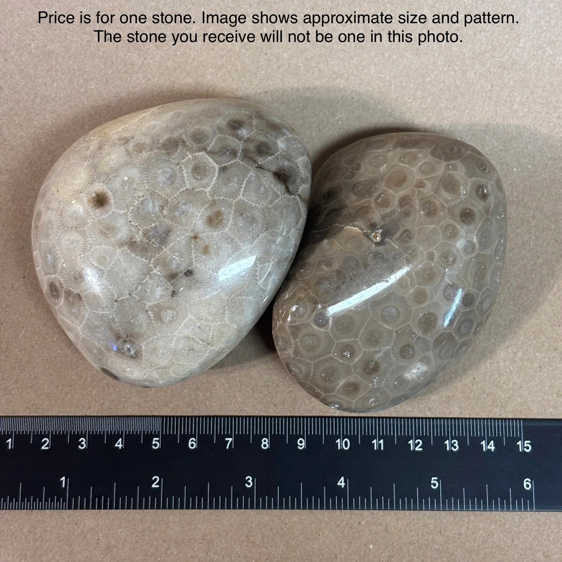 Fully Polished Petoskey Stone - Image 9