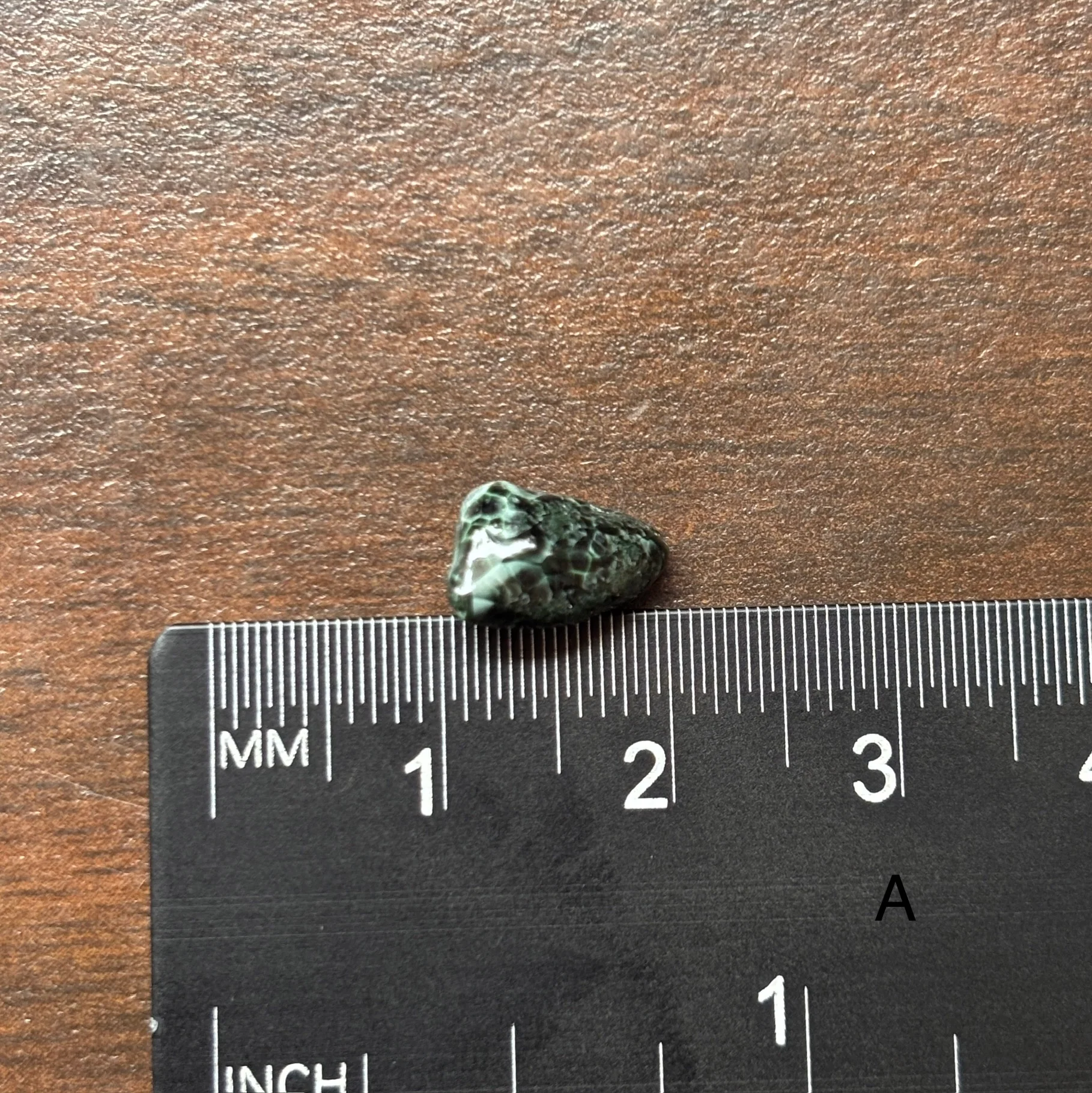 Isle Royale Greenstone, Chlorastrolite, Michigan's State Gem - Image 3