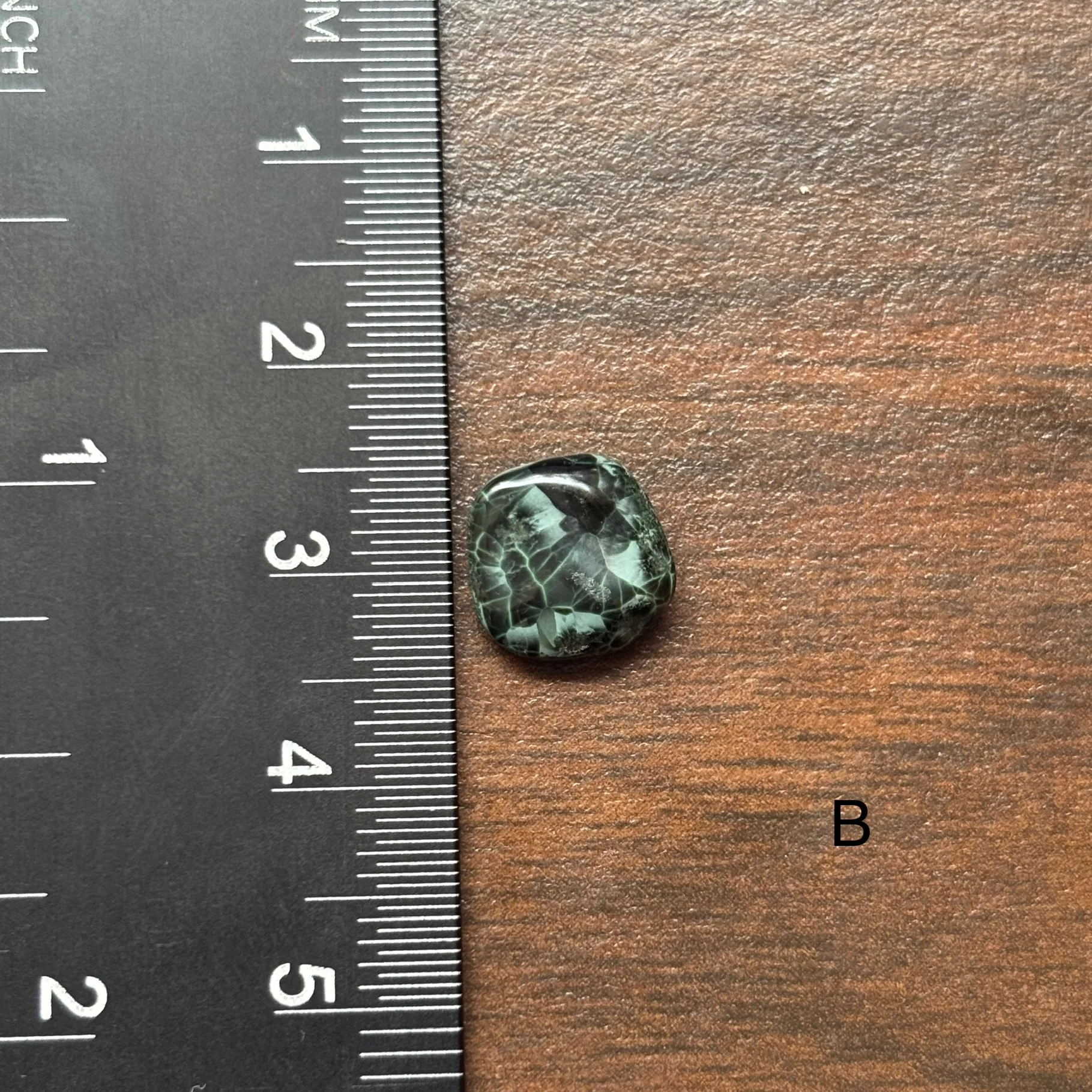 Isle Royale Greenstone, Chlorastrolite, Michigan's State Gem - Image 4