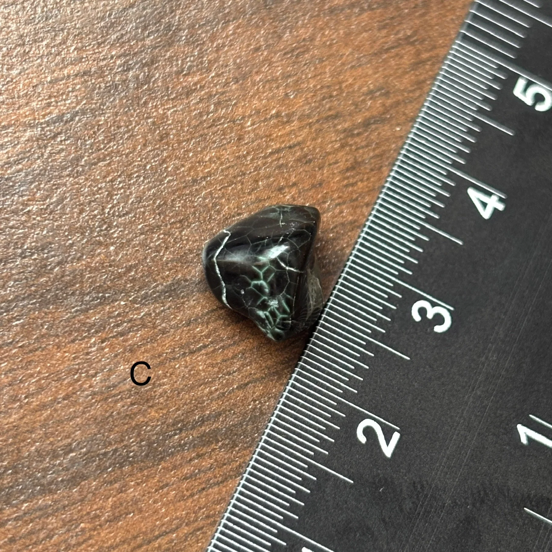 Isle Royale Greenstone, Chlorastrolite, Michigan's State Gem - Image 6
