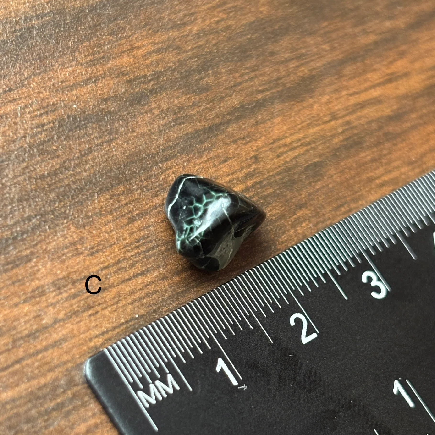 Isle Royale Greenstone, Chlorastrolite, Michigan's State Gem - Image 8