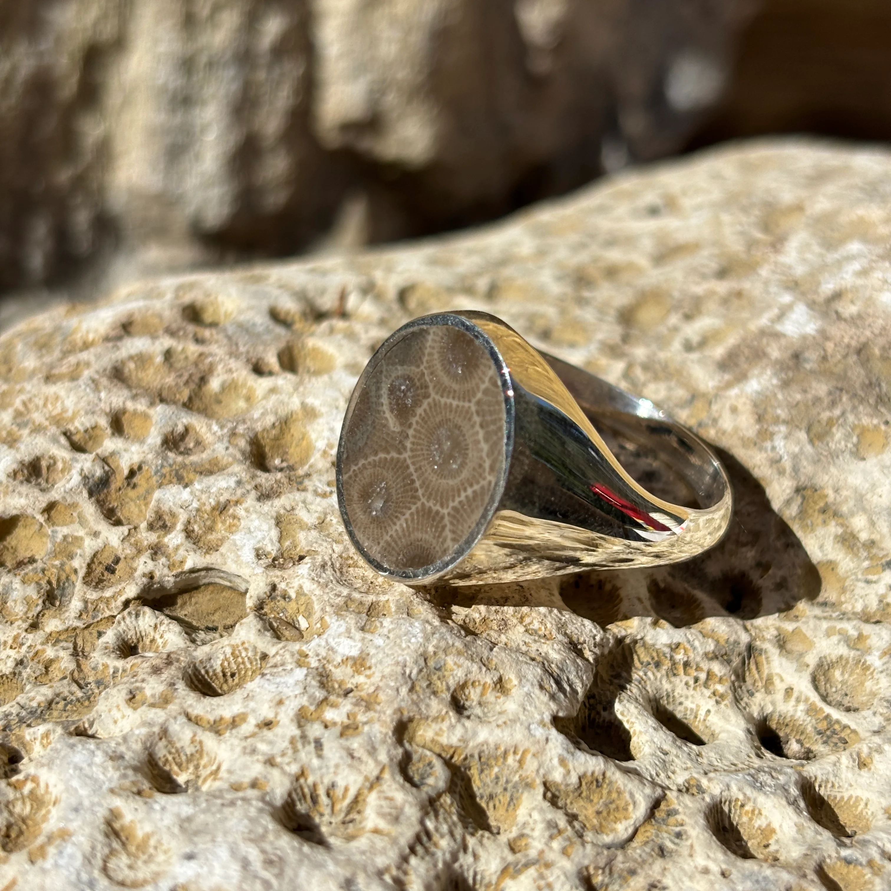 Men's Petoskey Stone Sterling Silver Rings - Image 11