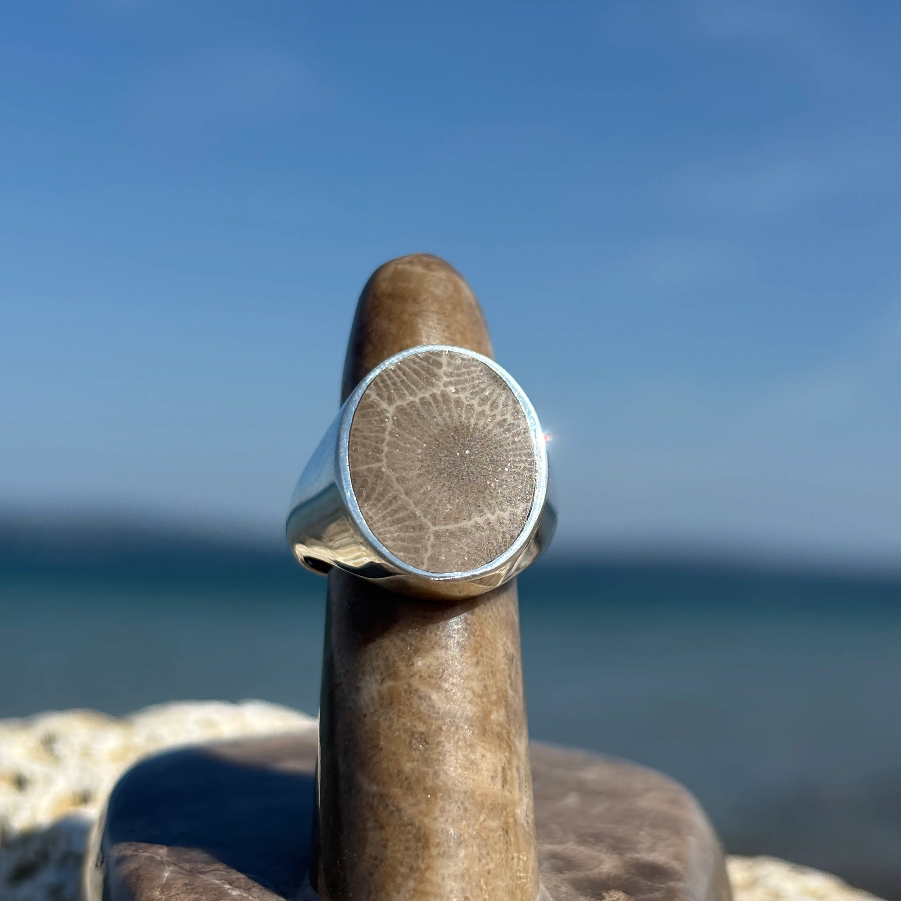 Men's Petoskey Stone Sterling Silver Rings - Image 12