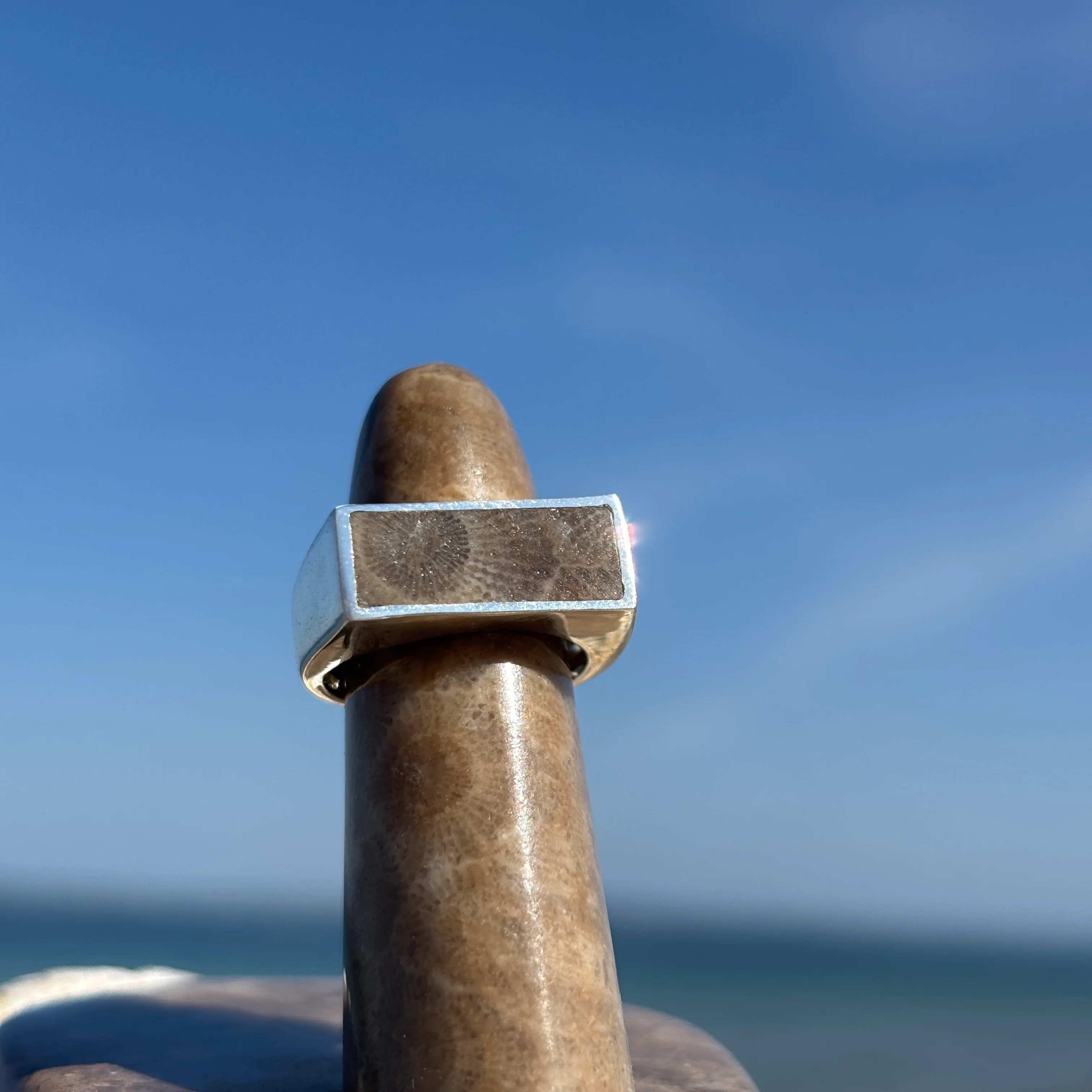 Men's Petoskey Stone Sterling Silver Rings - Image 4