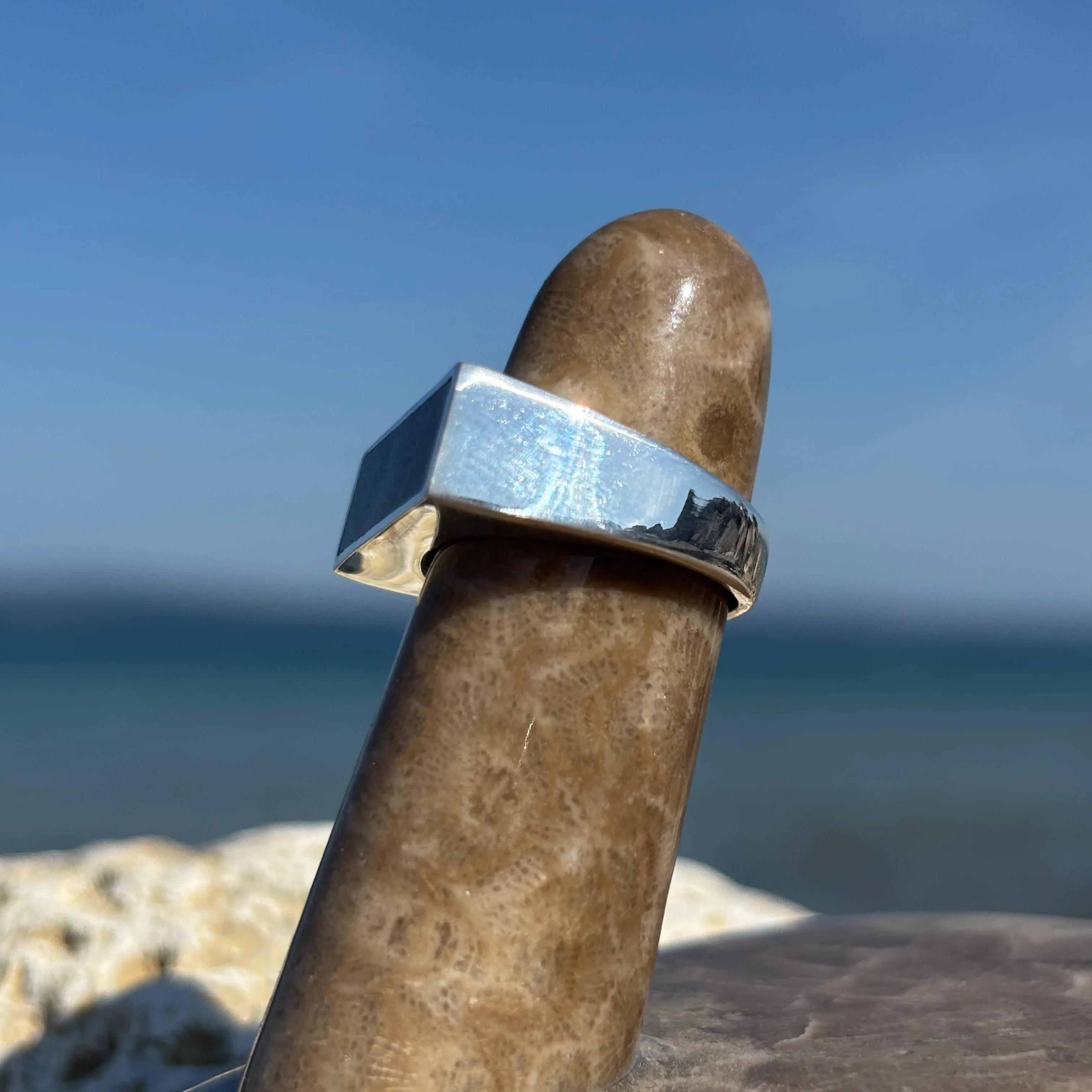 Men's Petoskey Stone Sterling Silver Rings - Image 5