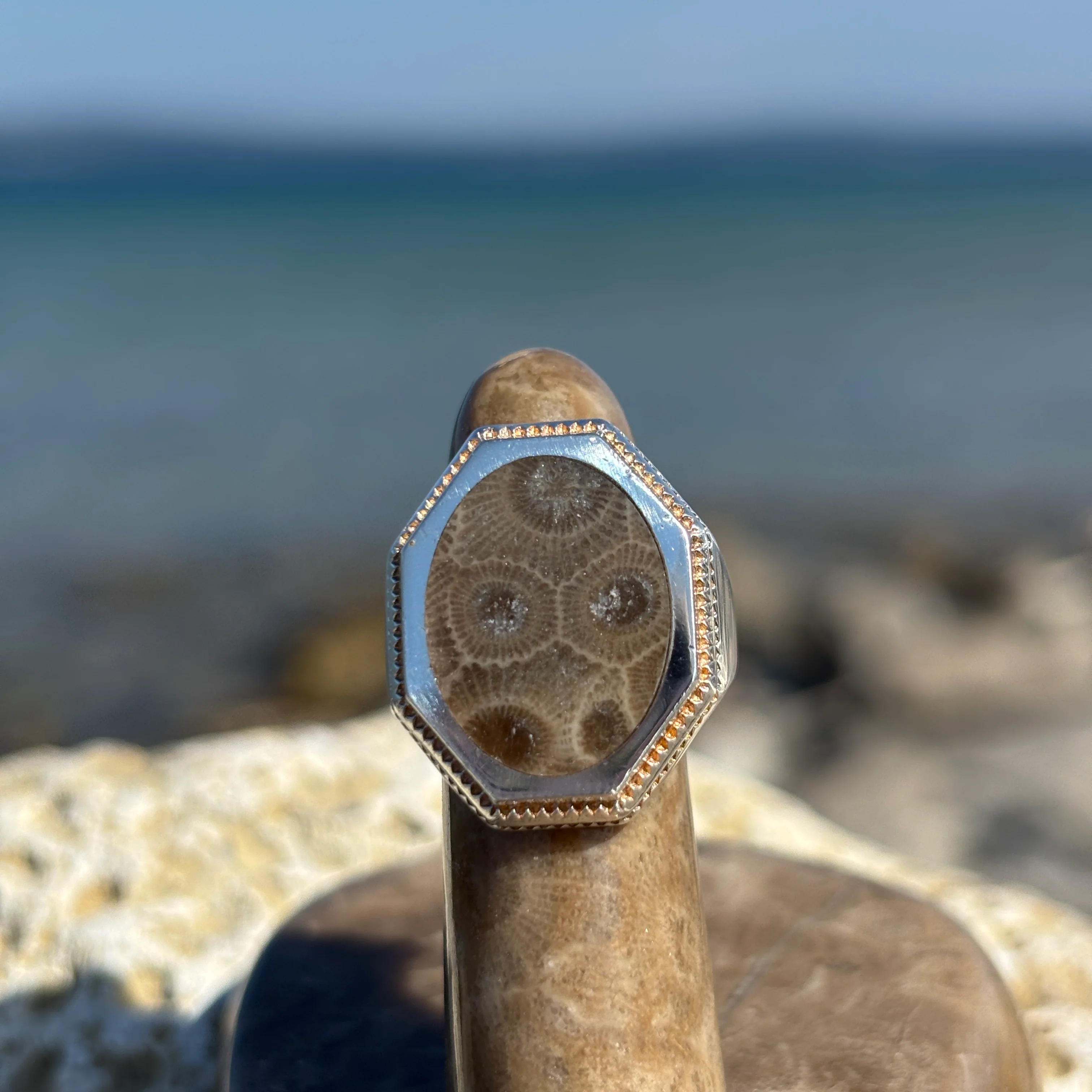 Men's Petoskey Stone Sterling Silver Rings - Image 6