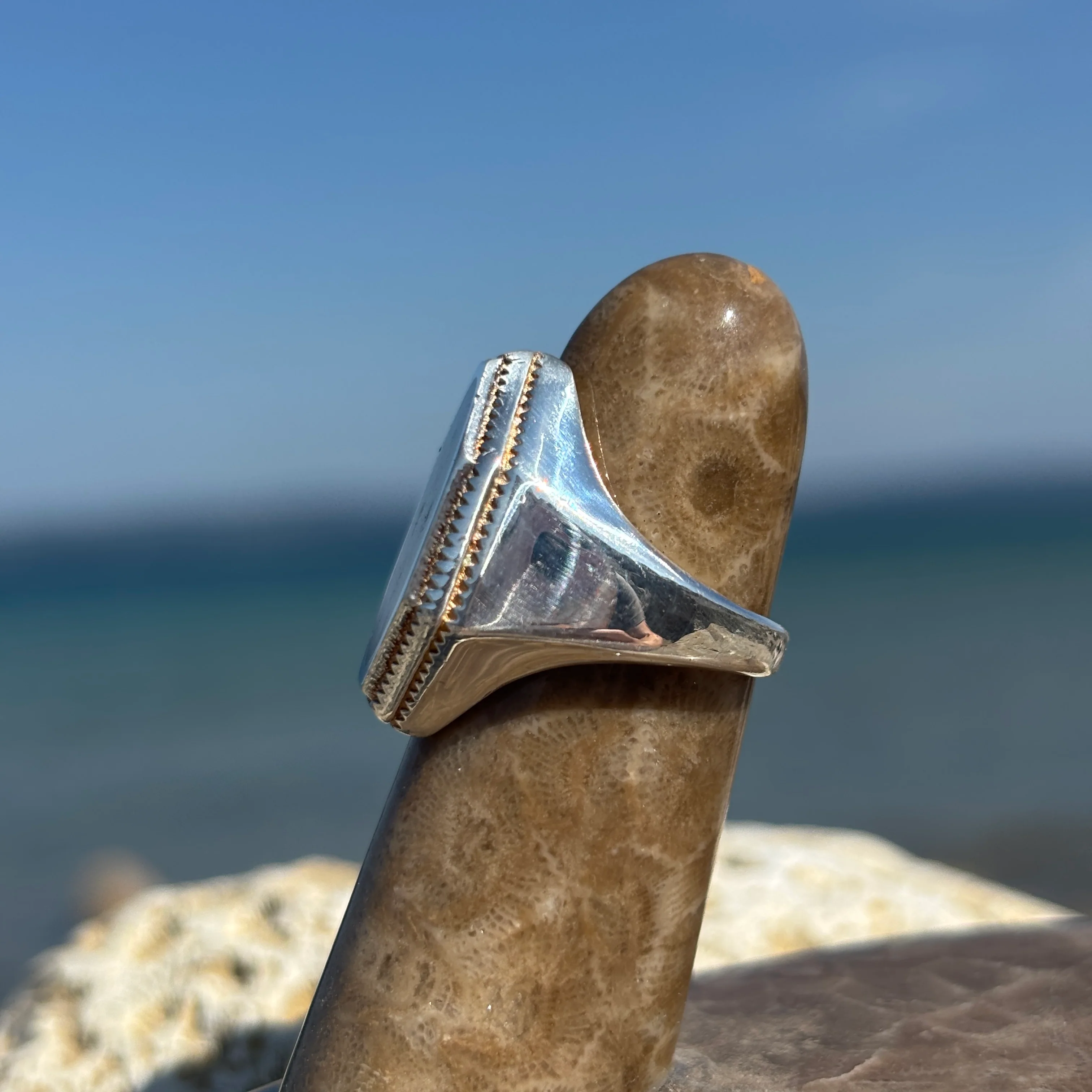 Men's Petoskey Stone Sterling Silver Rings - Image 7