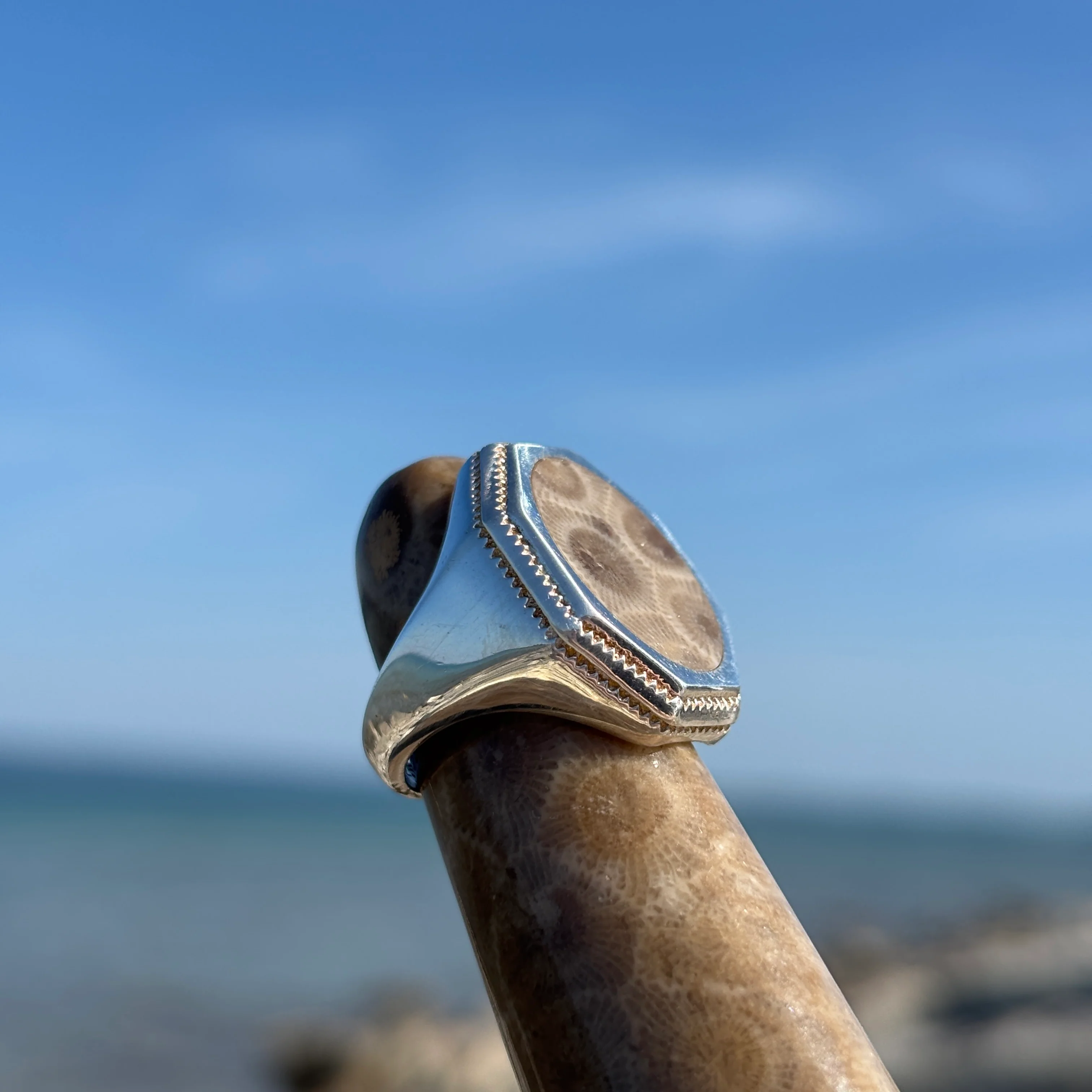 Men's Petoskey Stone Sterling Silver Rings - Image 8