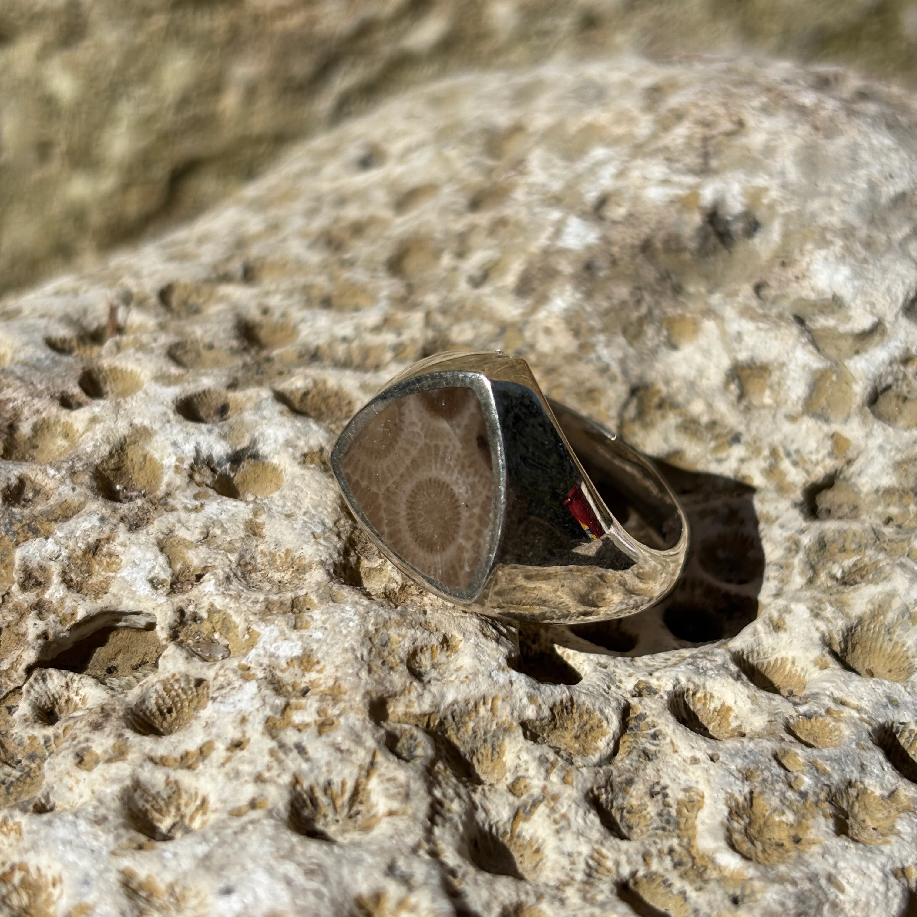 Men's Petoskey Stone Sterling Silver Rings - Image 9