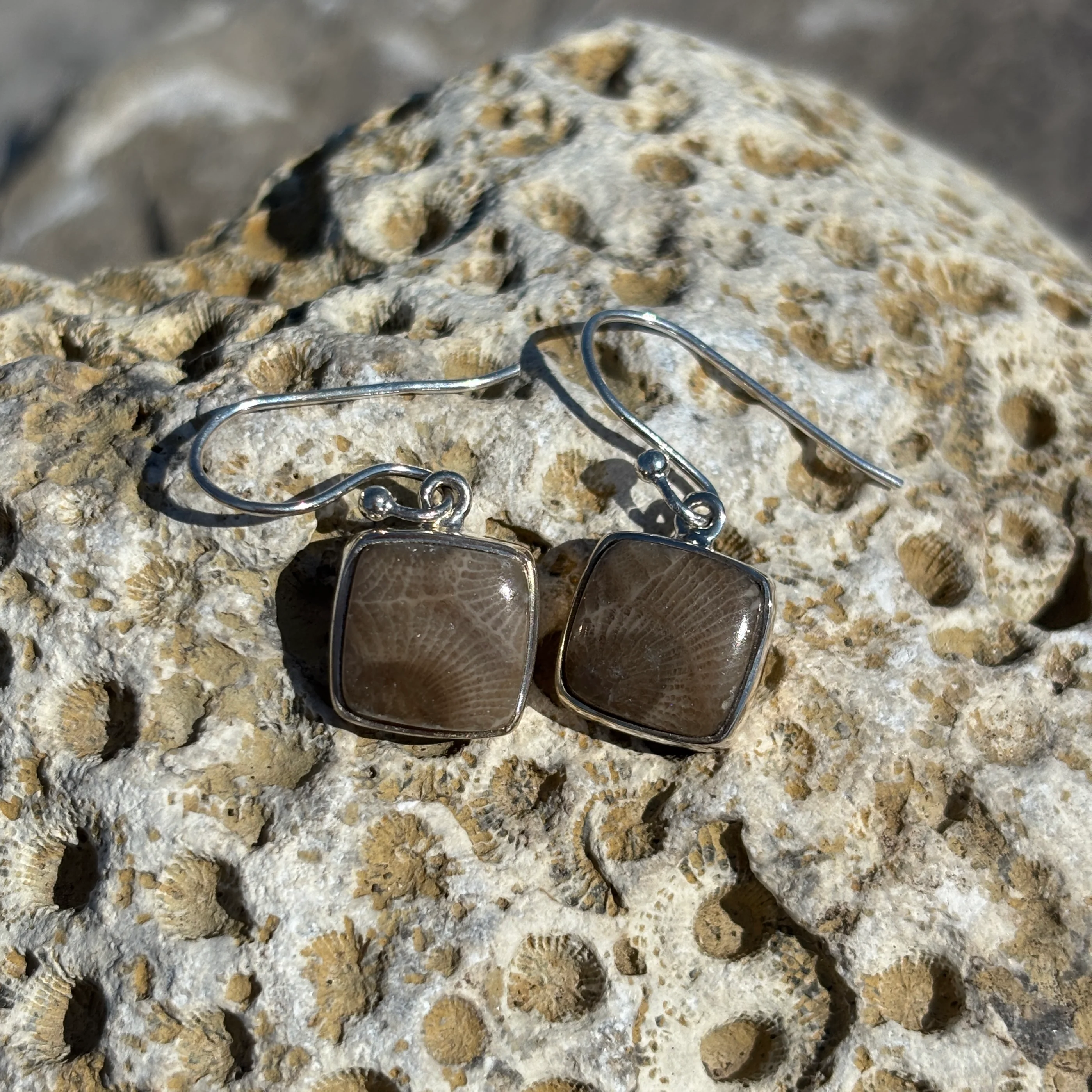Petoskey Stone Dangle Earrings with Sterling Silver - Image 3