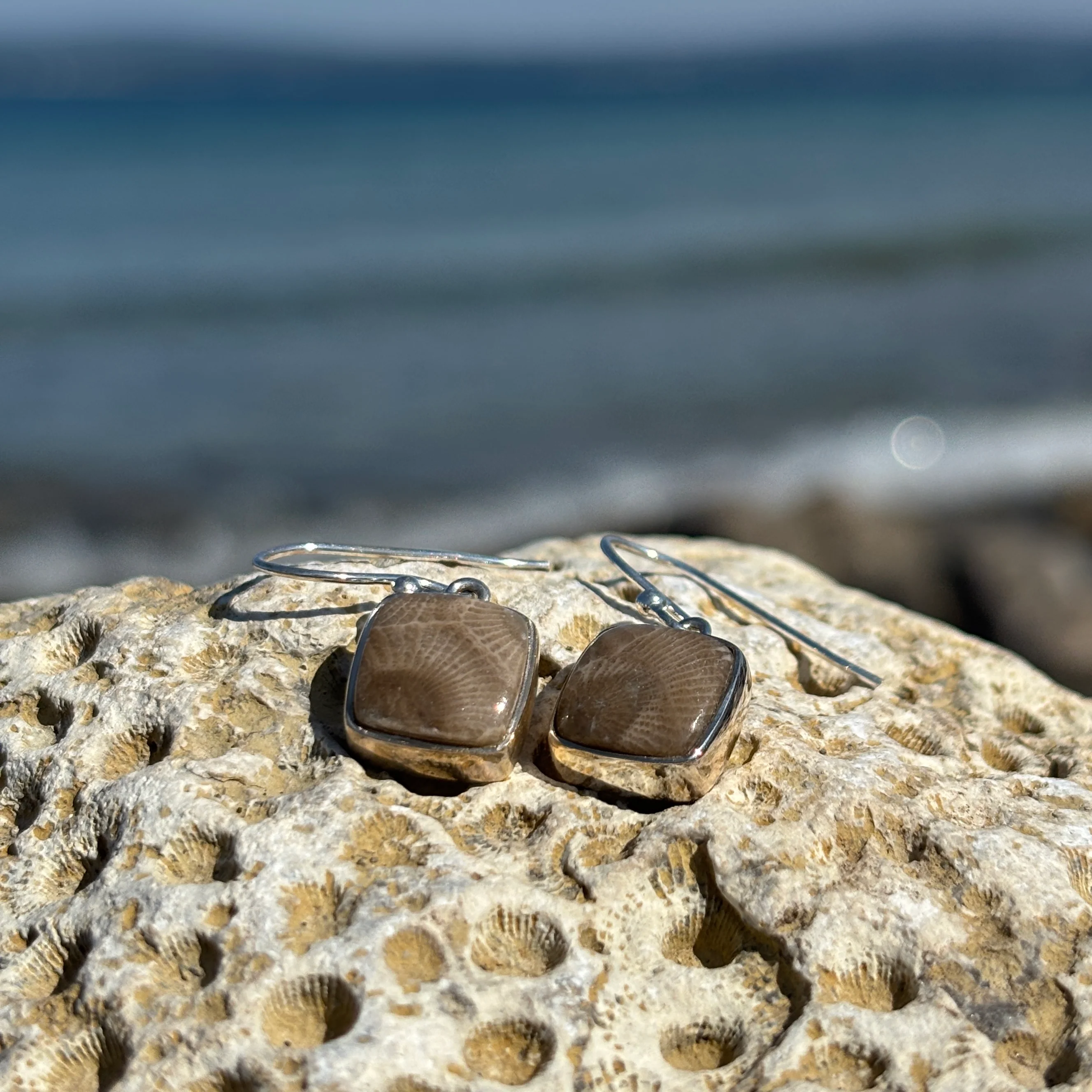 Petoskey Stone Dangle Earrings with Sterling Silver - Image 4