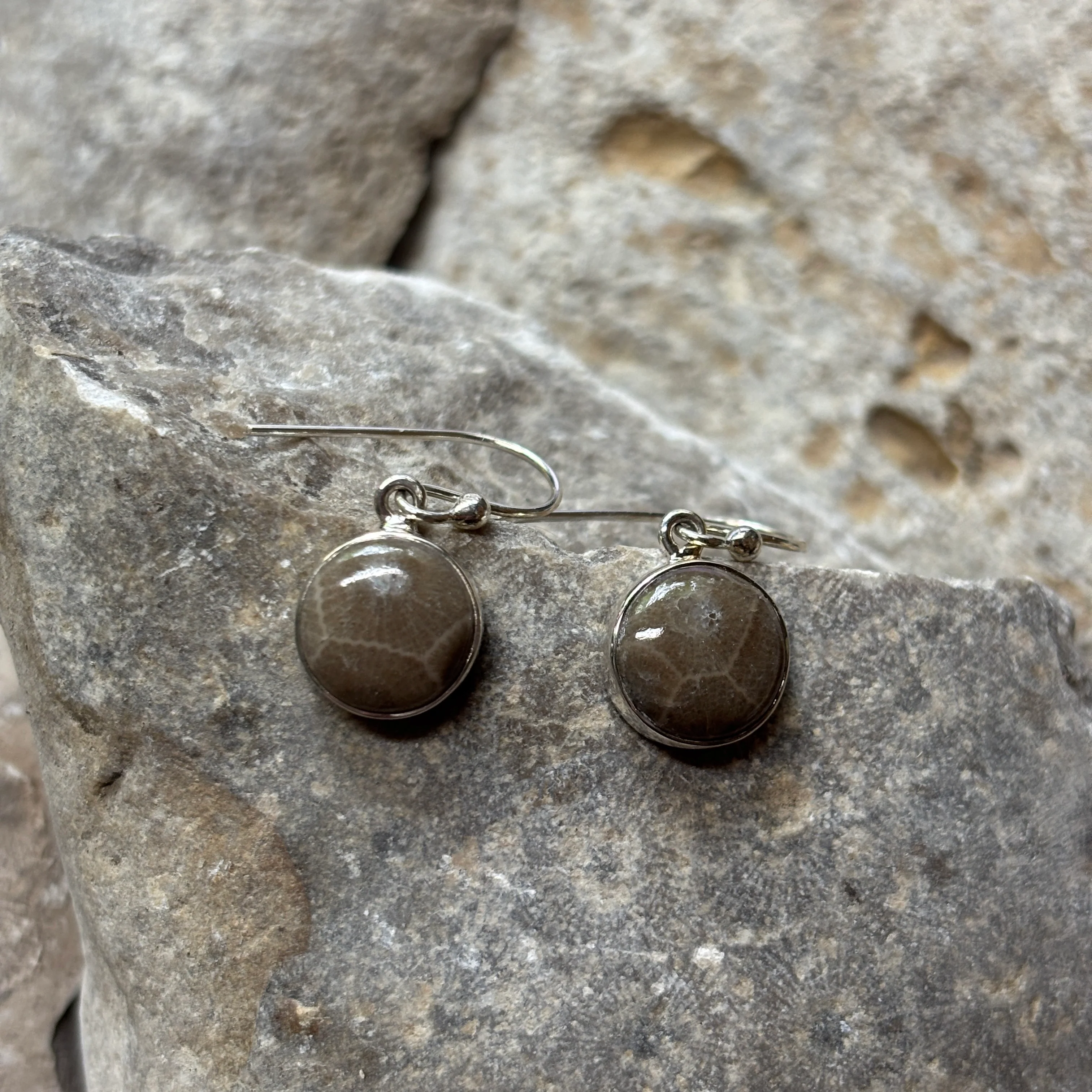 Petoskey Stone Dangle Earrings with Sterling Silver - Image 6