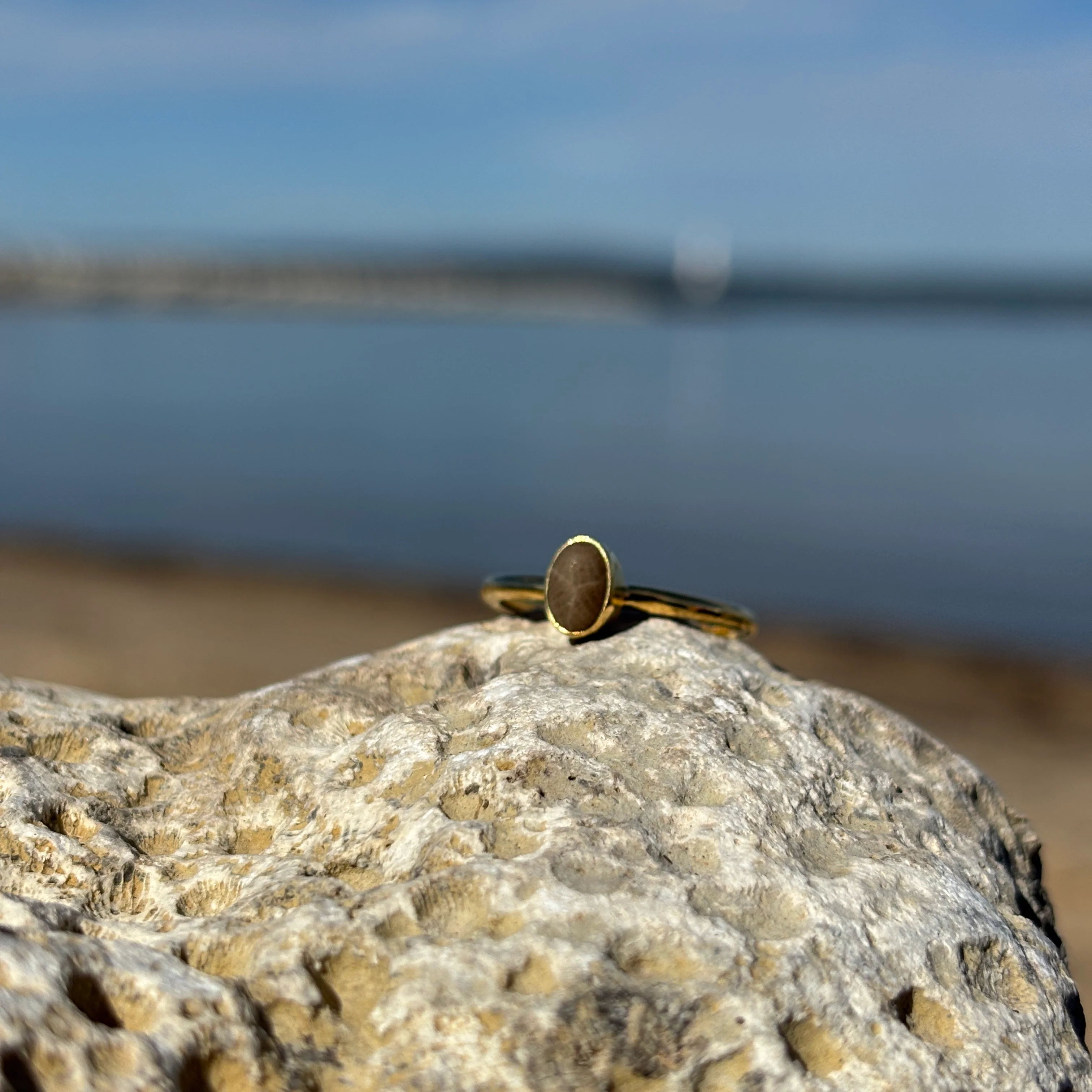 Stackable Petoskey Stone and Gold Vermeil Ring - Image 5