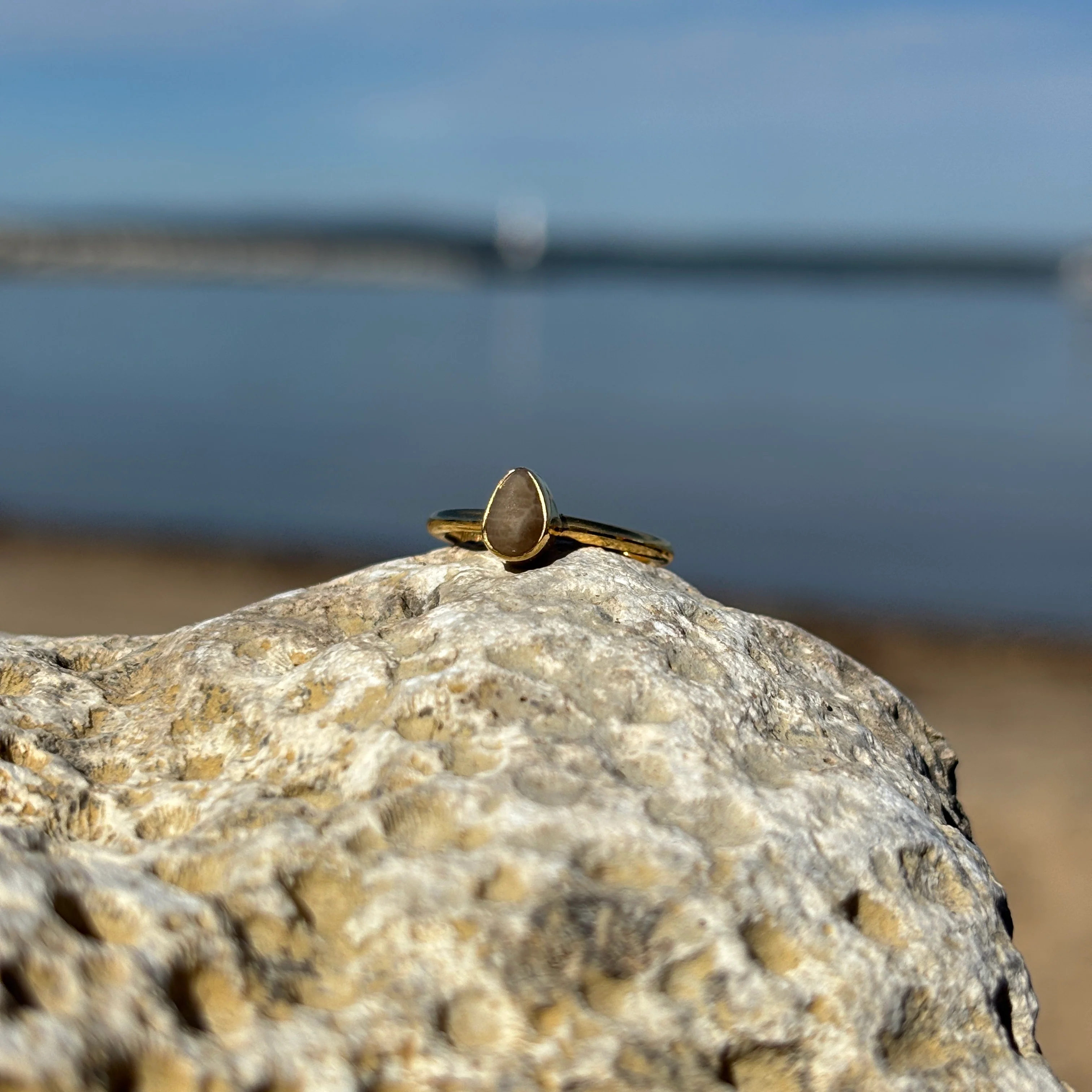 Stackable Petoskey Stone and Gold Vermeil Ring - Image 6