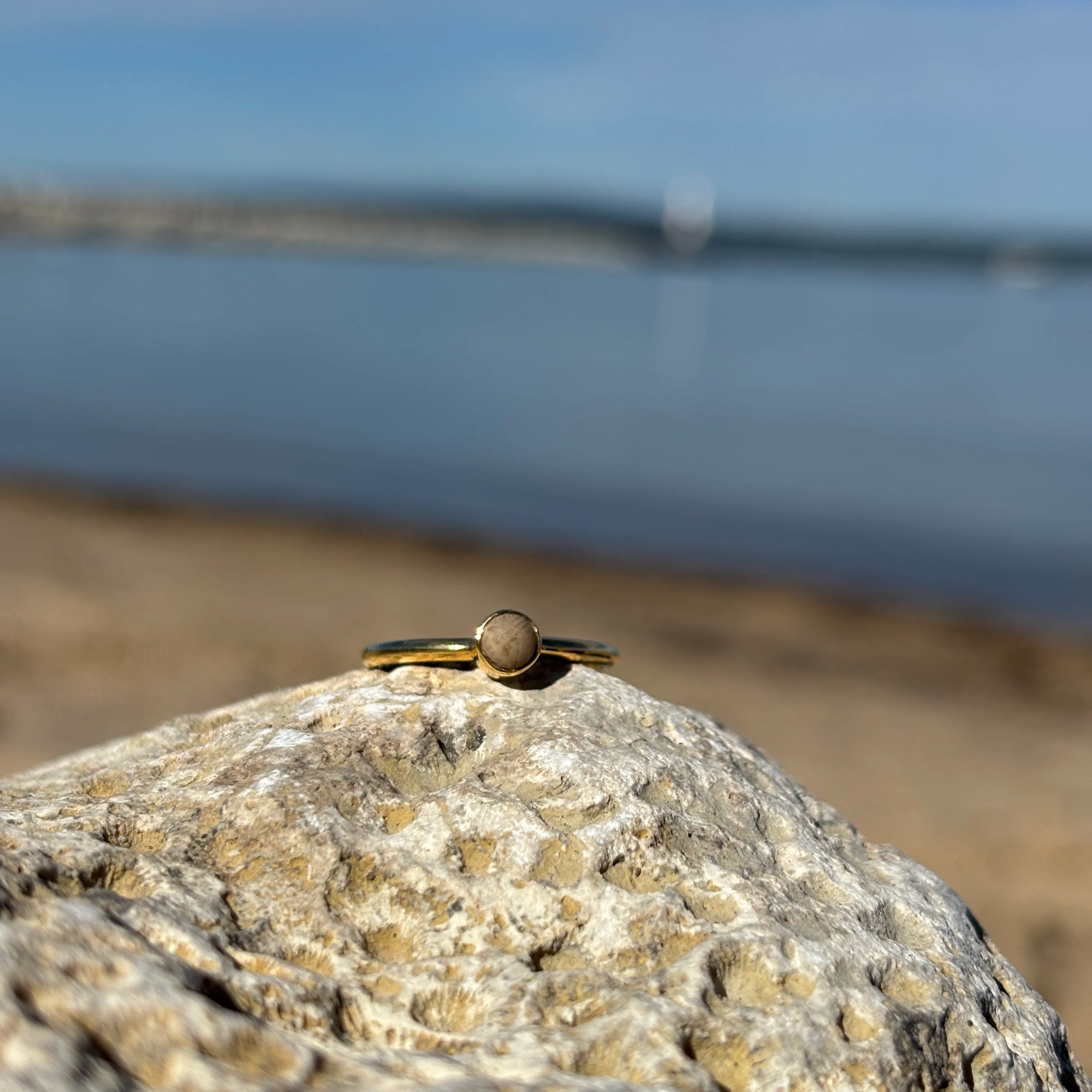 Stackable Petoskey Stone and Gold Vermeil Ring - Image 7