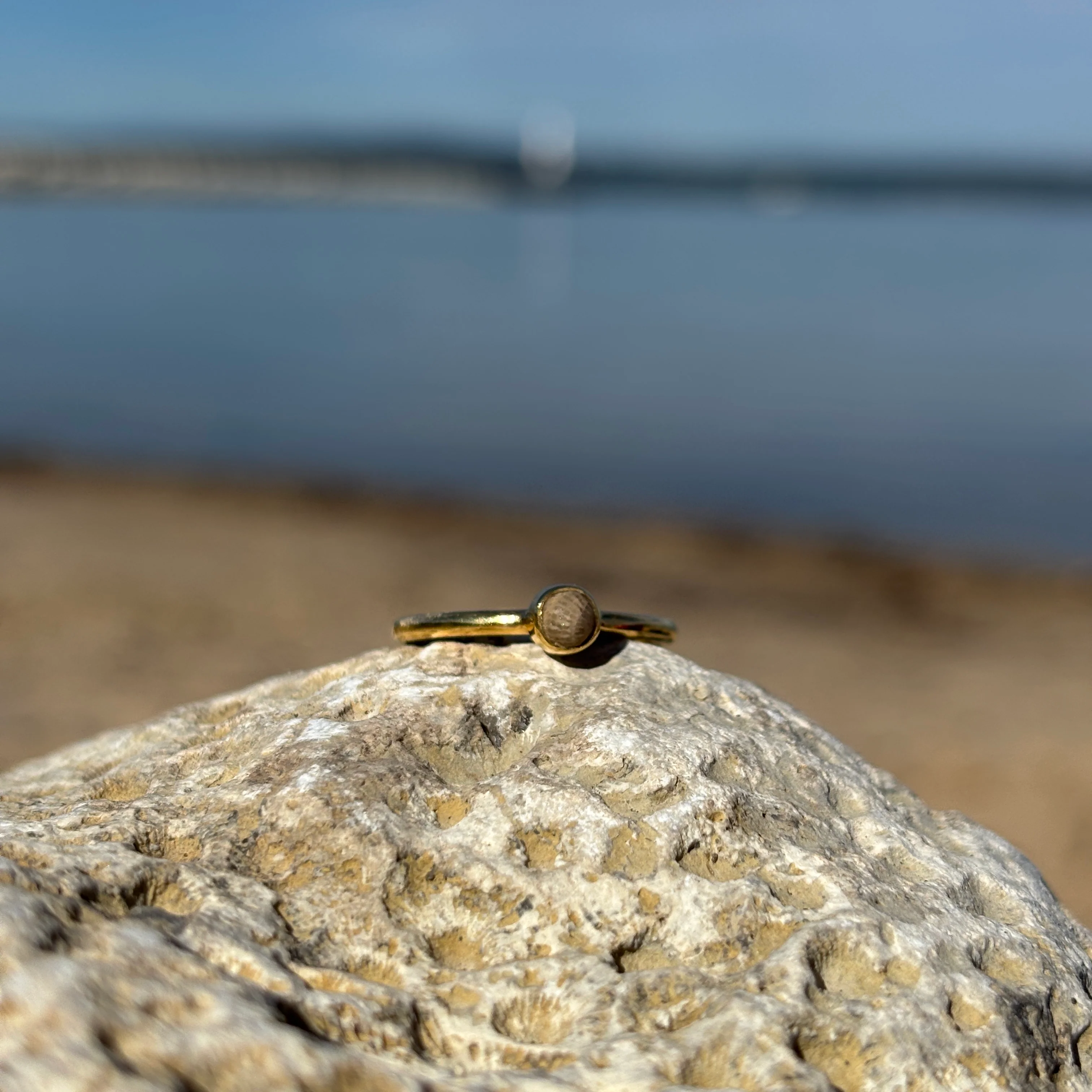 Stackable Petoskey Stone and Gold Vermeil Ring - Image 8