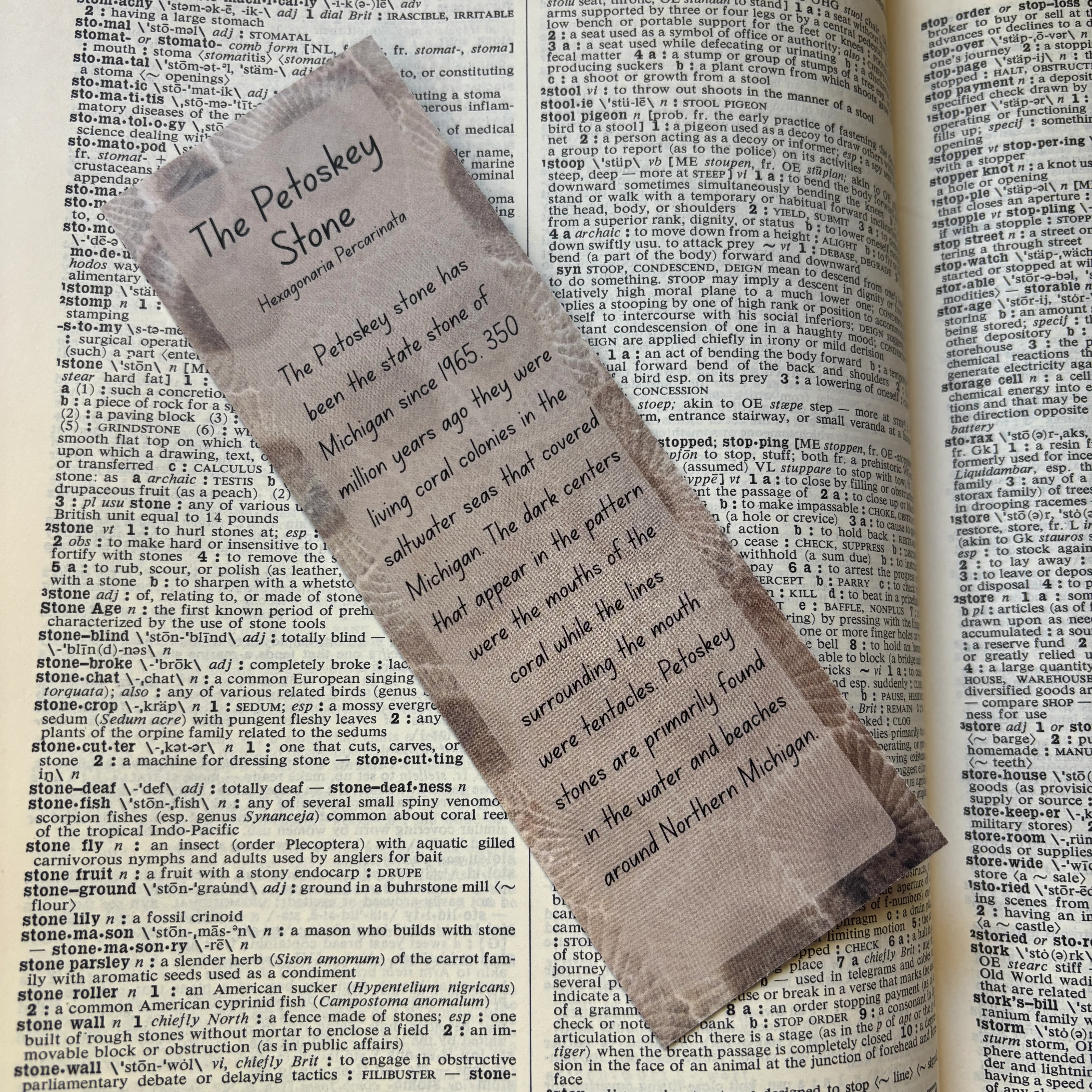 Petoskey Stone Bookmark - Image 3