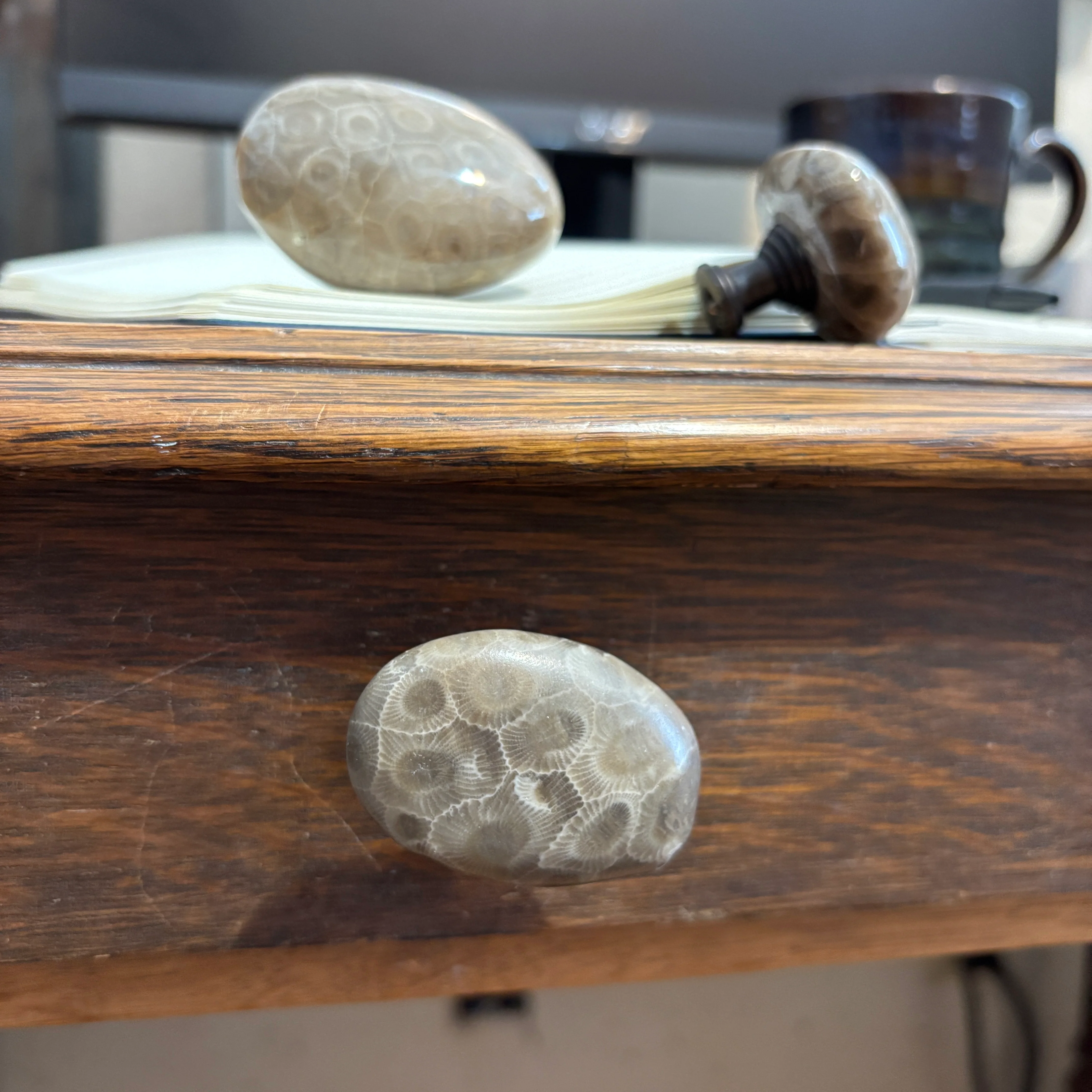 Petoskey Stone Cabinet Knob in Polished Natural Shape - Image 5