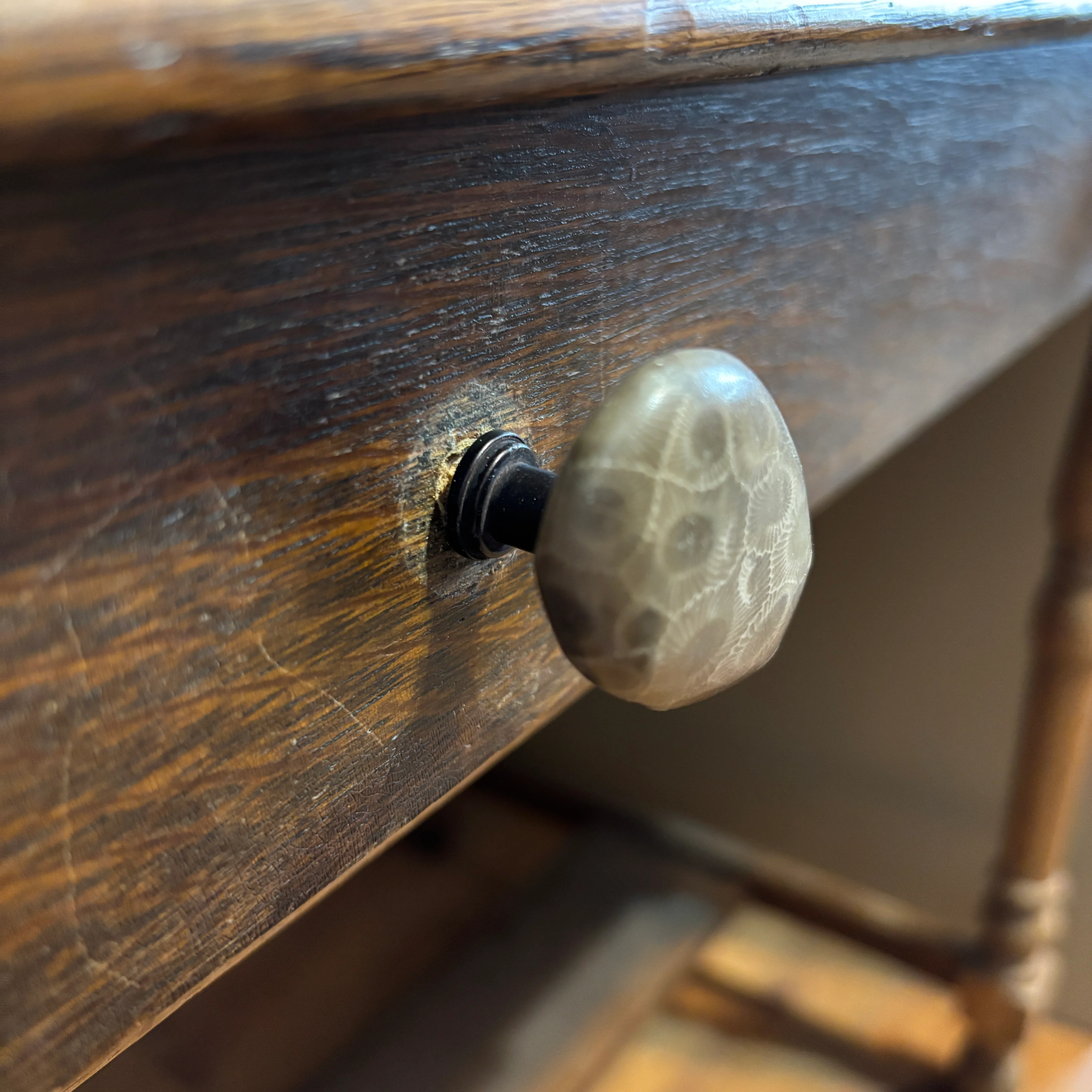Petoskey Stone Cabinet Knob in Polished Natural Shape - Image 6
