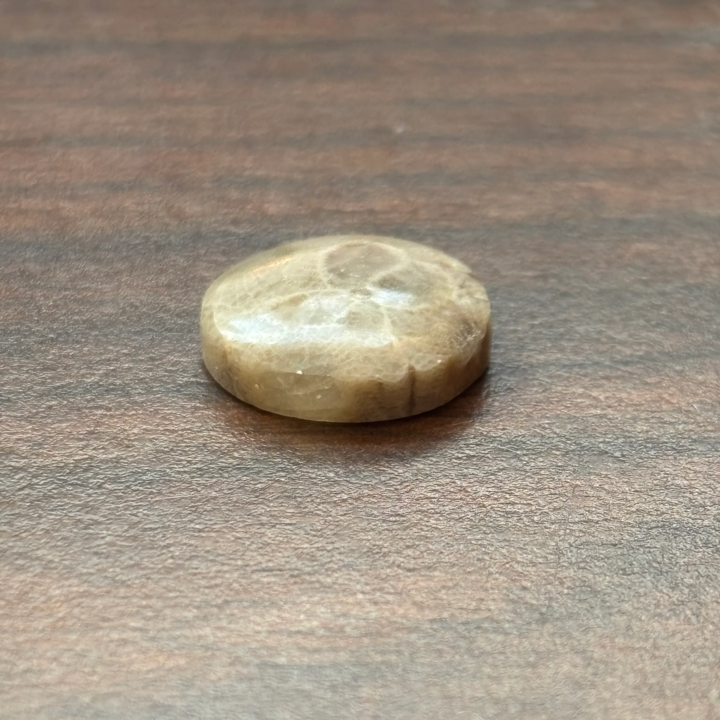 Petoskey Stone Cabochon 16mm Round - Image 3