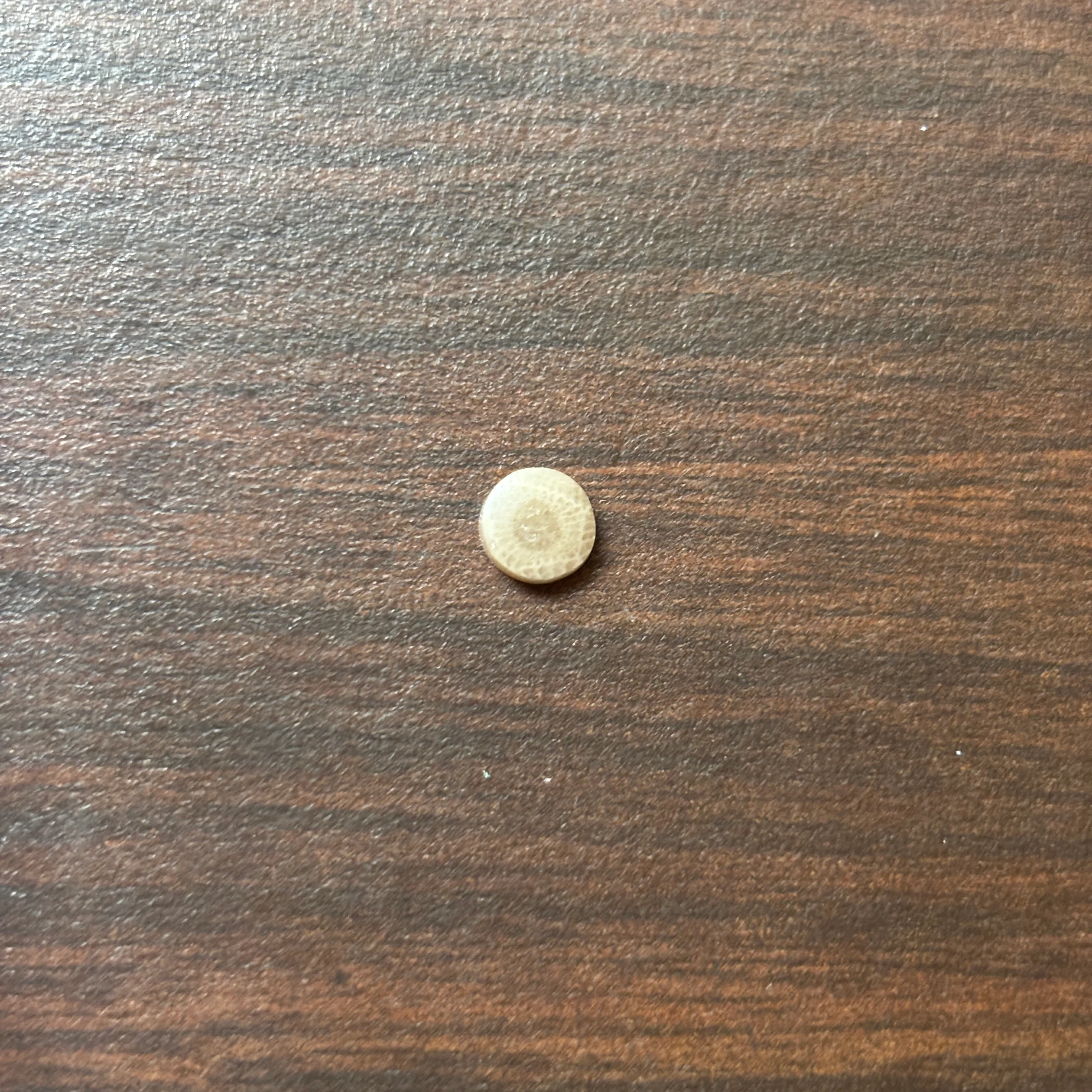 Petoskey Stone Cabochon 6mm Round - Image 7