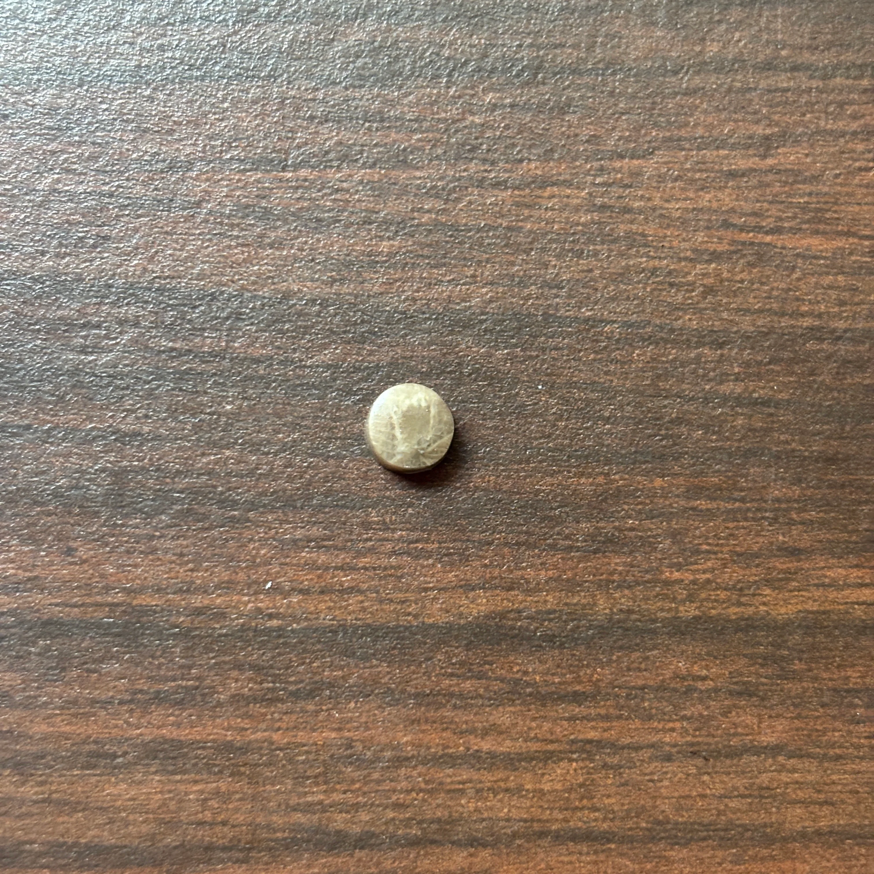 Petoskey Stone Cabochon 6mm Round - Image 8