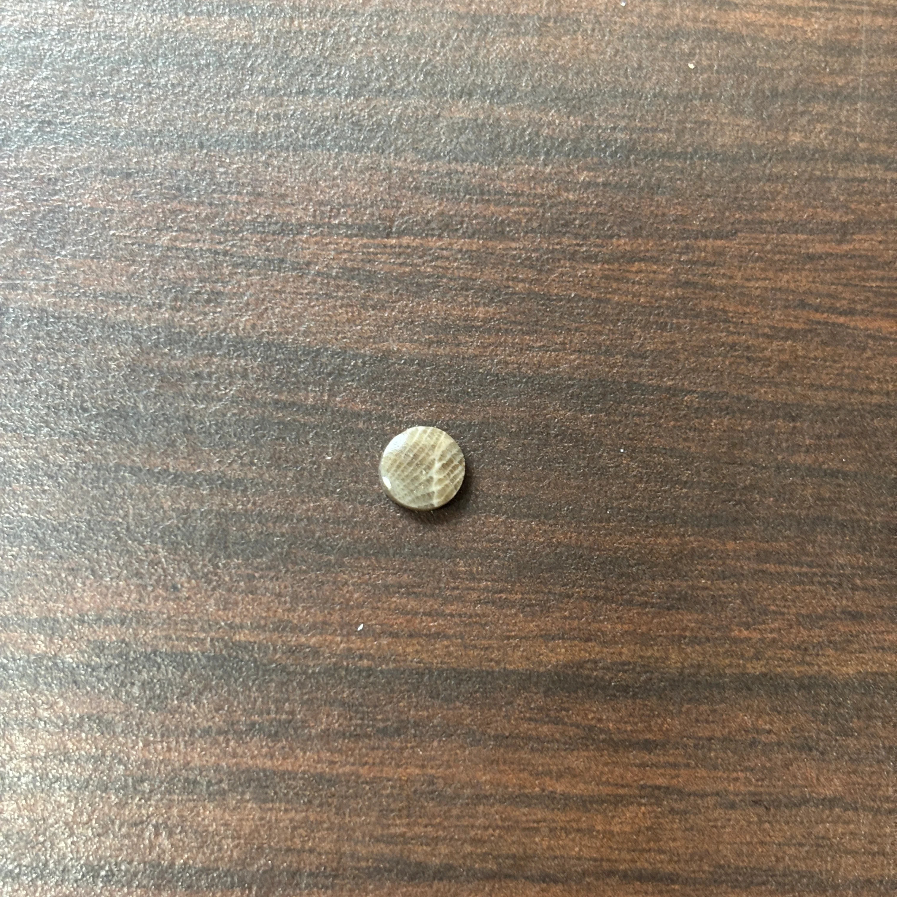 Petoskey Stone Cabochon 6mm Round - Image 9