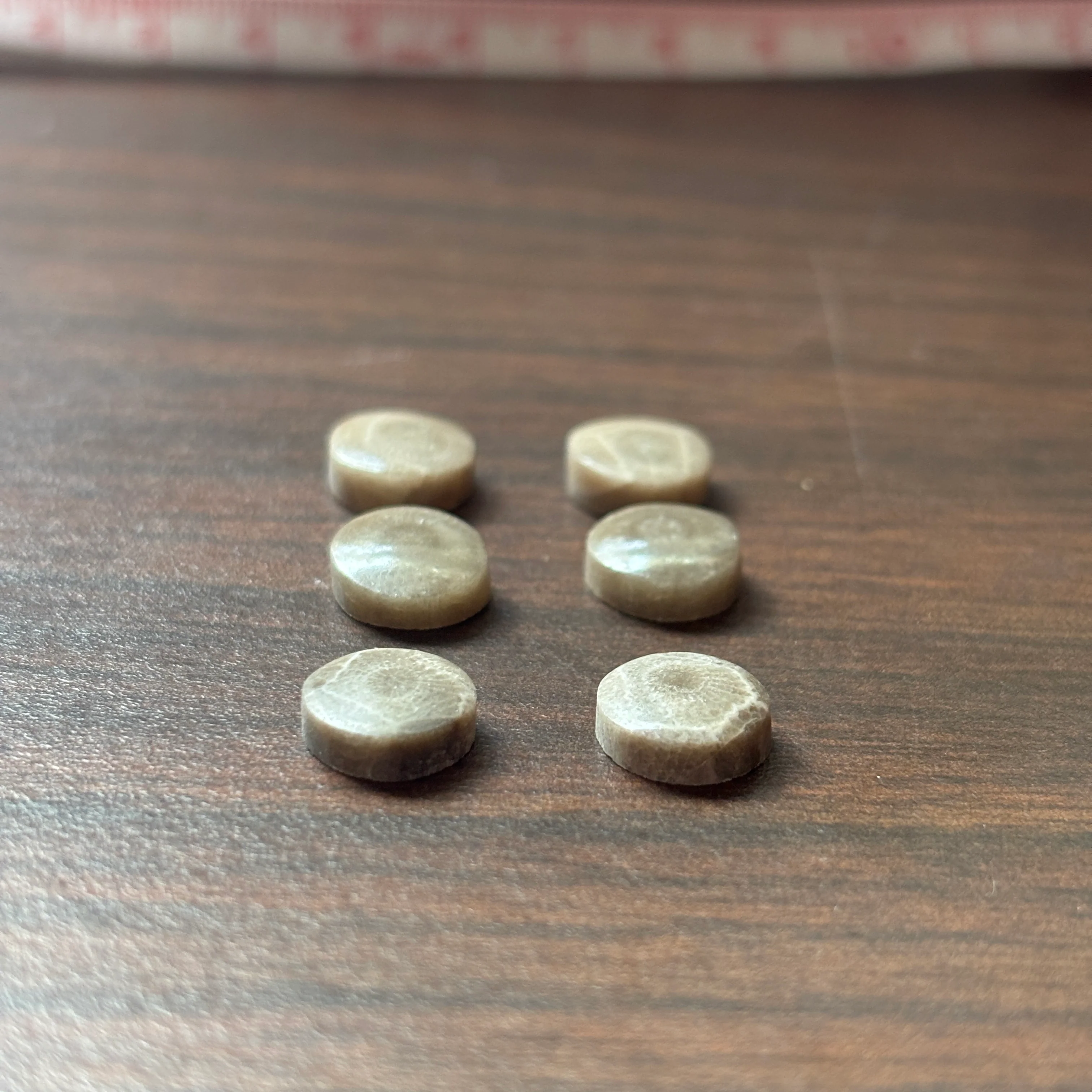 Petoskey Stone Cabochon 9mm Round - Image 3