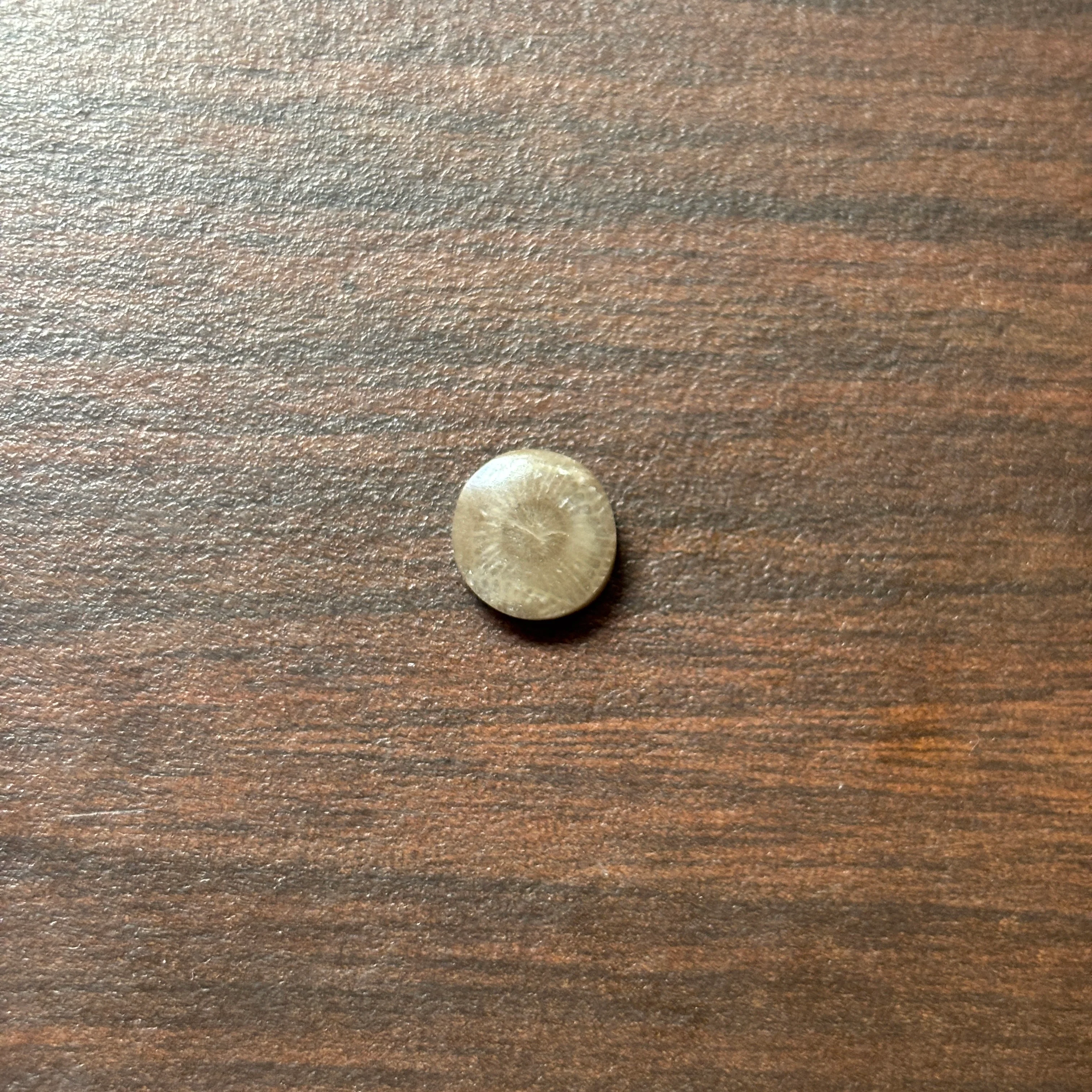 Petoskey Stone Cabochon 9mm Round - Image 6
