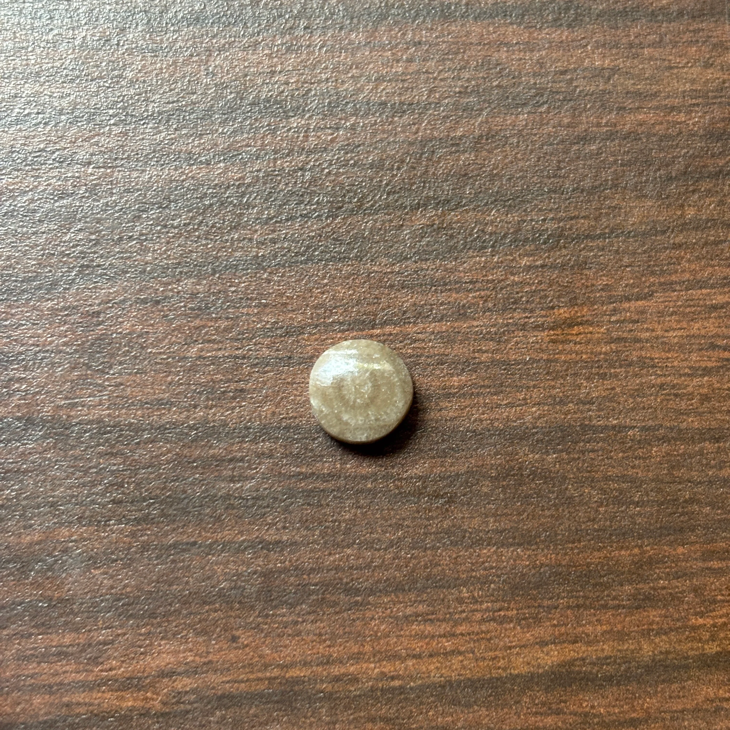 Petoskey Stone Cabochon 9mm Round - Image 7
