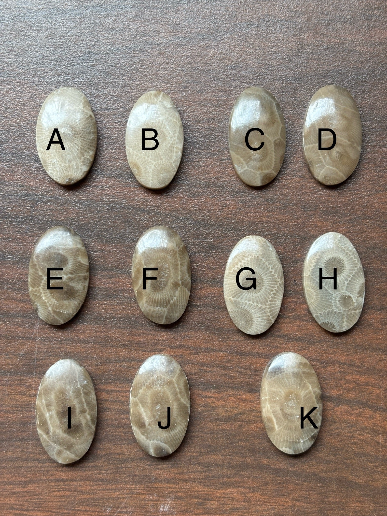 Petoskey Stone Cabochon 14mm x 24mm Oval - Image 3