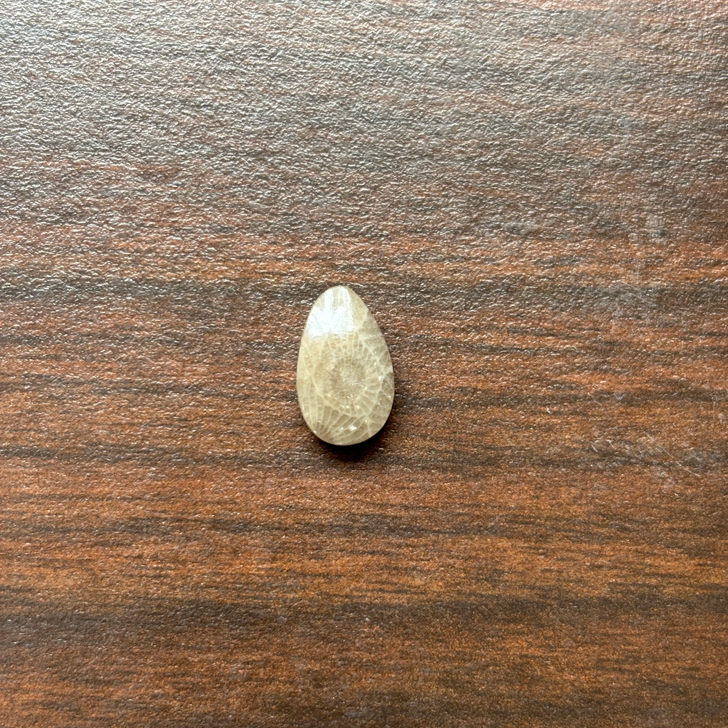 Petoskey Stone Cabochon 8mm x 12mm Teardrop - Image 6