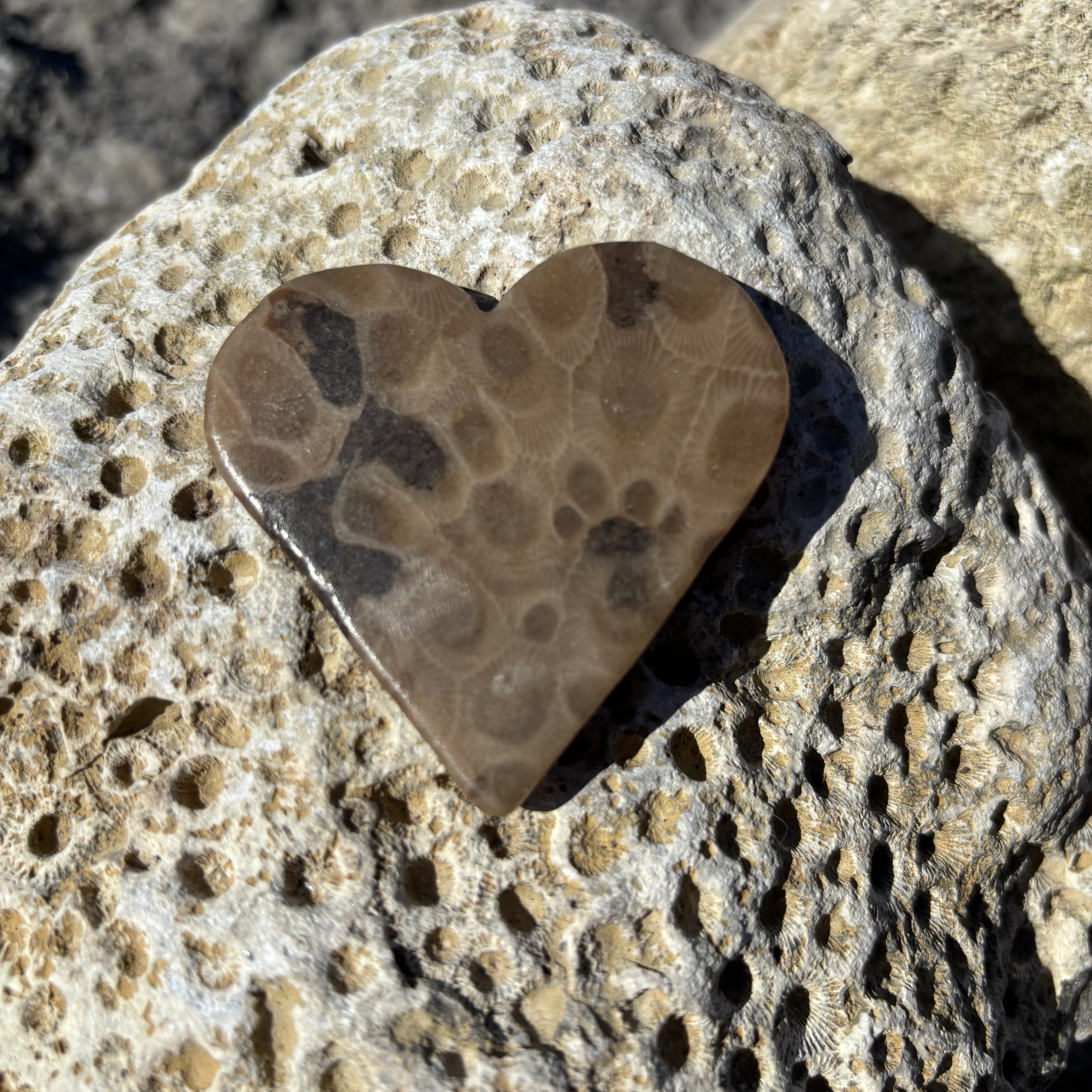 Petoskey Stone Magnet Hearts - Image 3