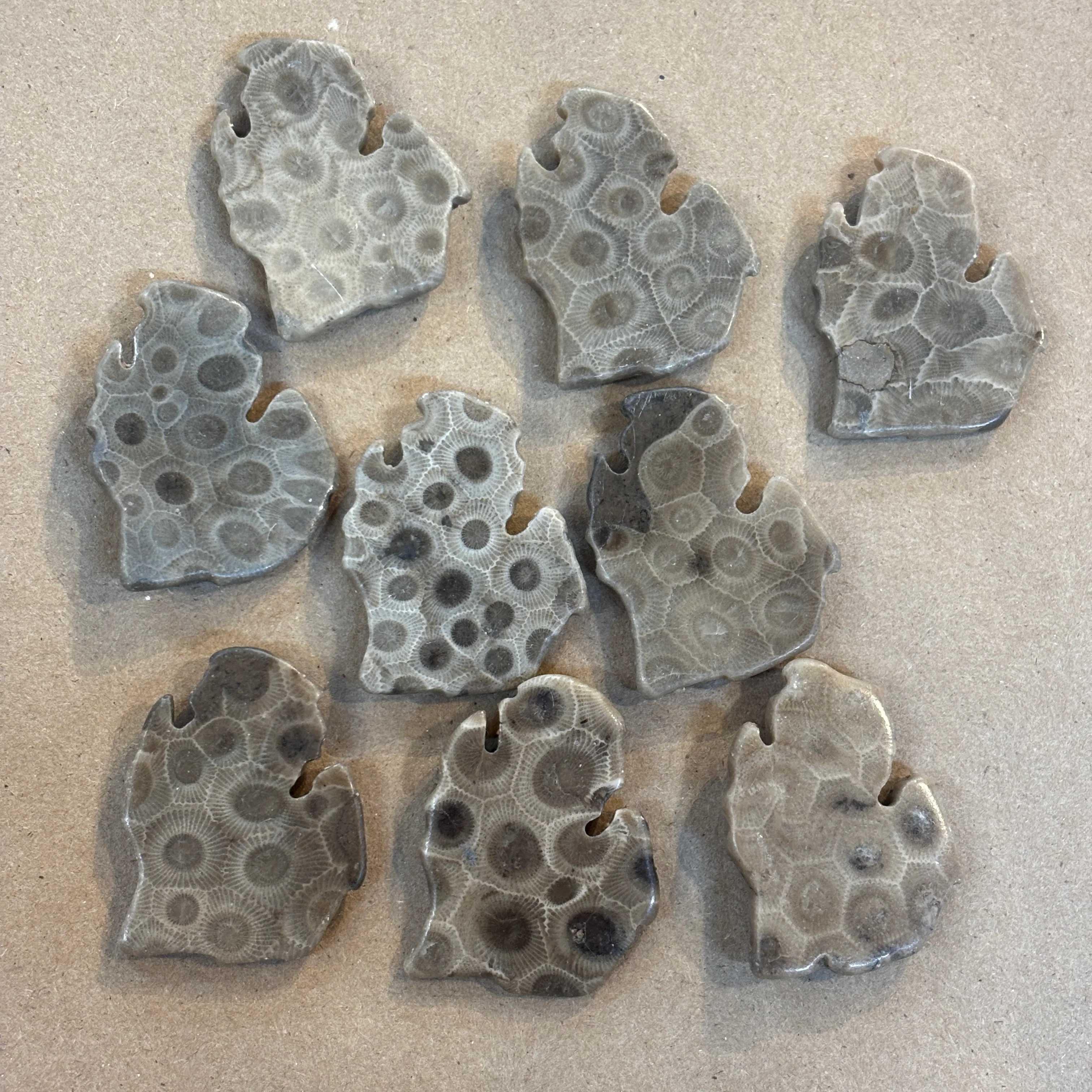 Petoskey Stone Magnet Lower Peninsula Michigan Mitten - Image 3