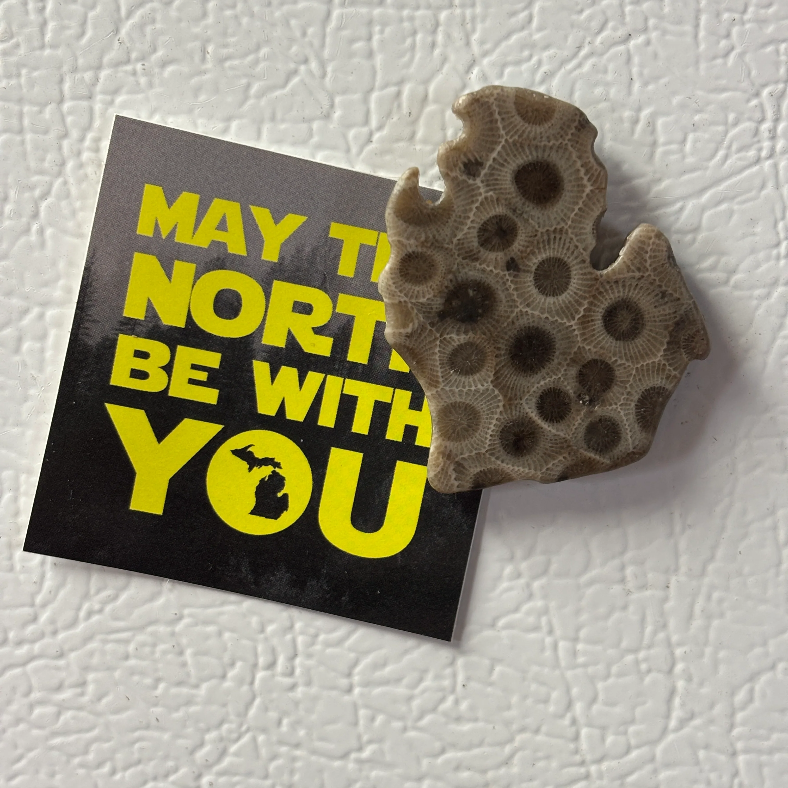 Petoskey Stone Magnet Lower Peninsula Michigan Mitten - Image 4