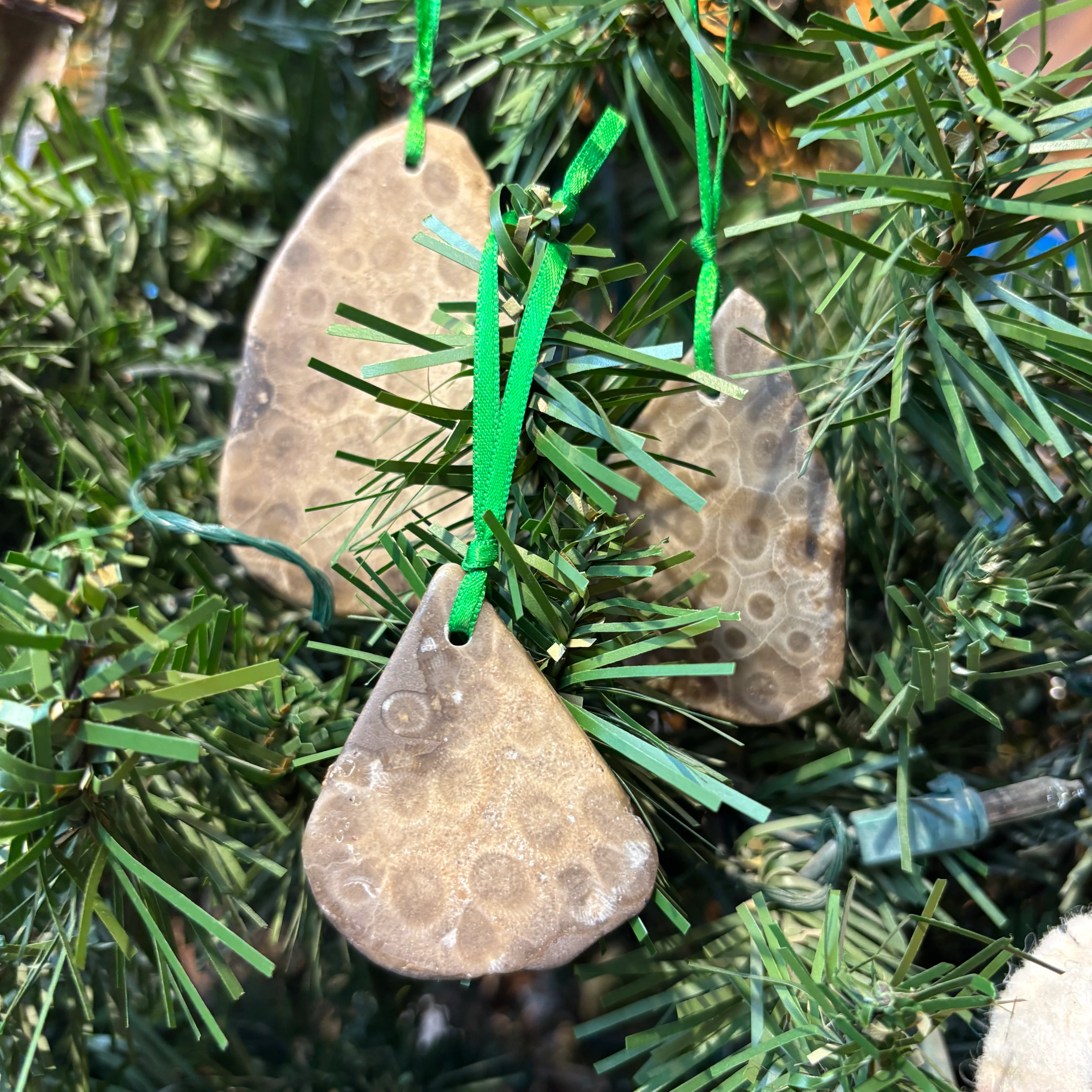 Petoskey Stone Natural Ornaments with Ribbon - Image 3