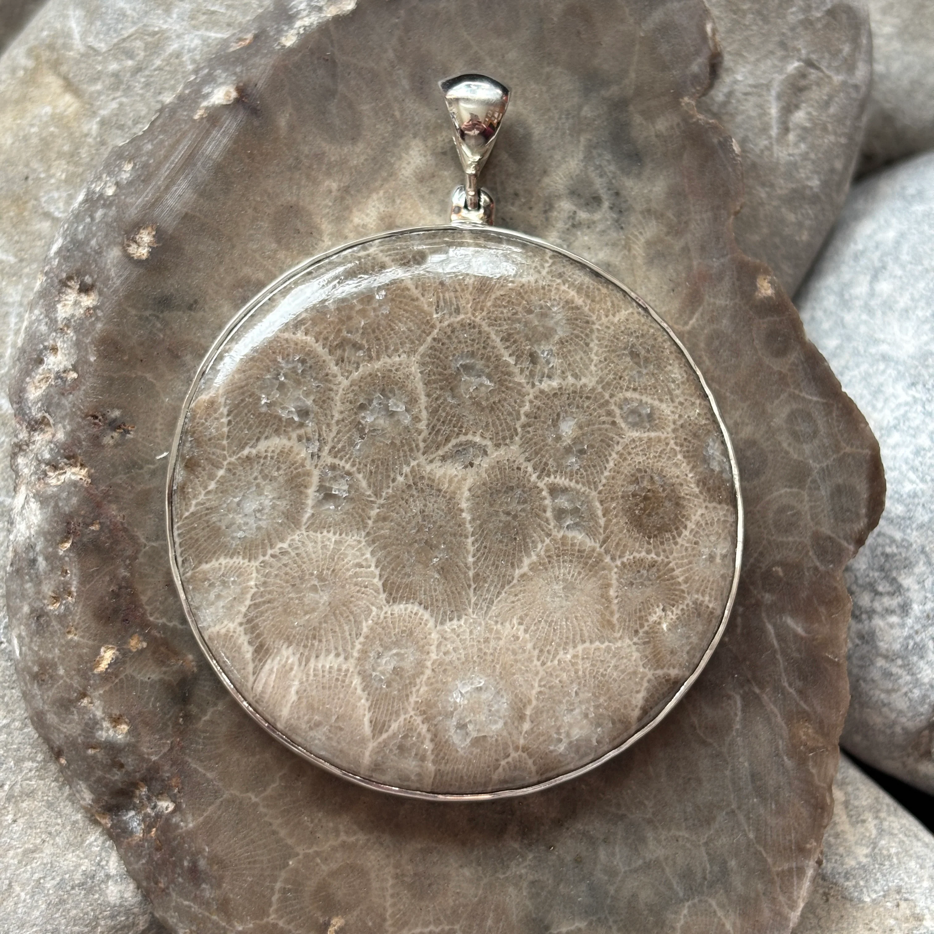 Petoskey Stone Necklace Pendant Encased in Sterling Silver Circle Shape - Image 2