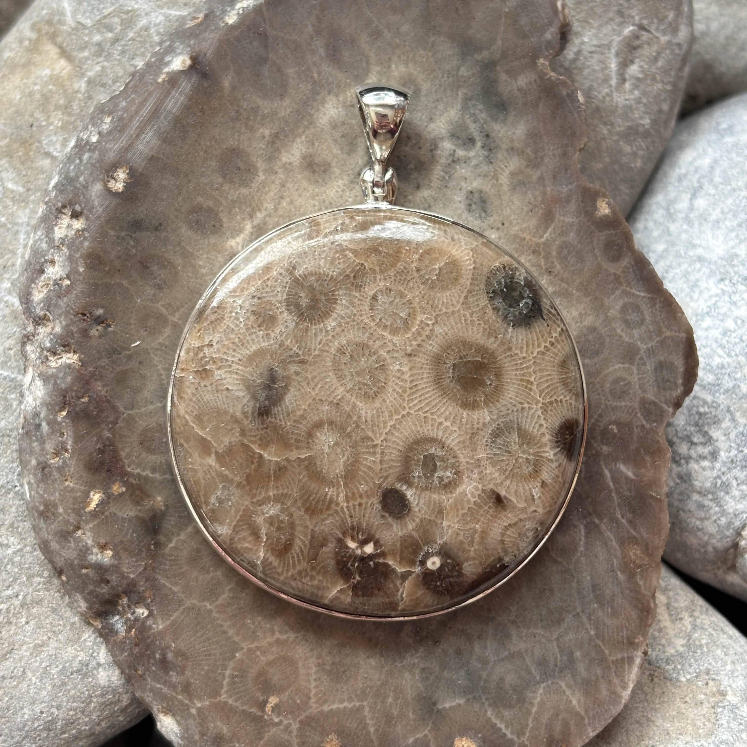 Petoskey Stone Necklace Pendant Encased in Sterling Silver Circle Shape - Image 3