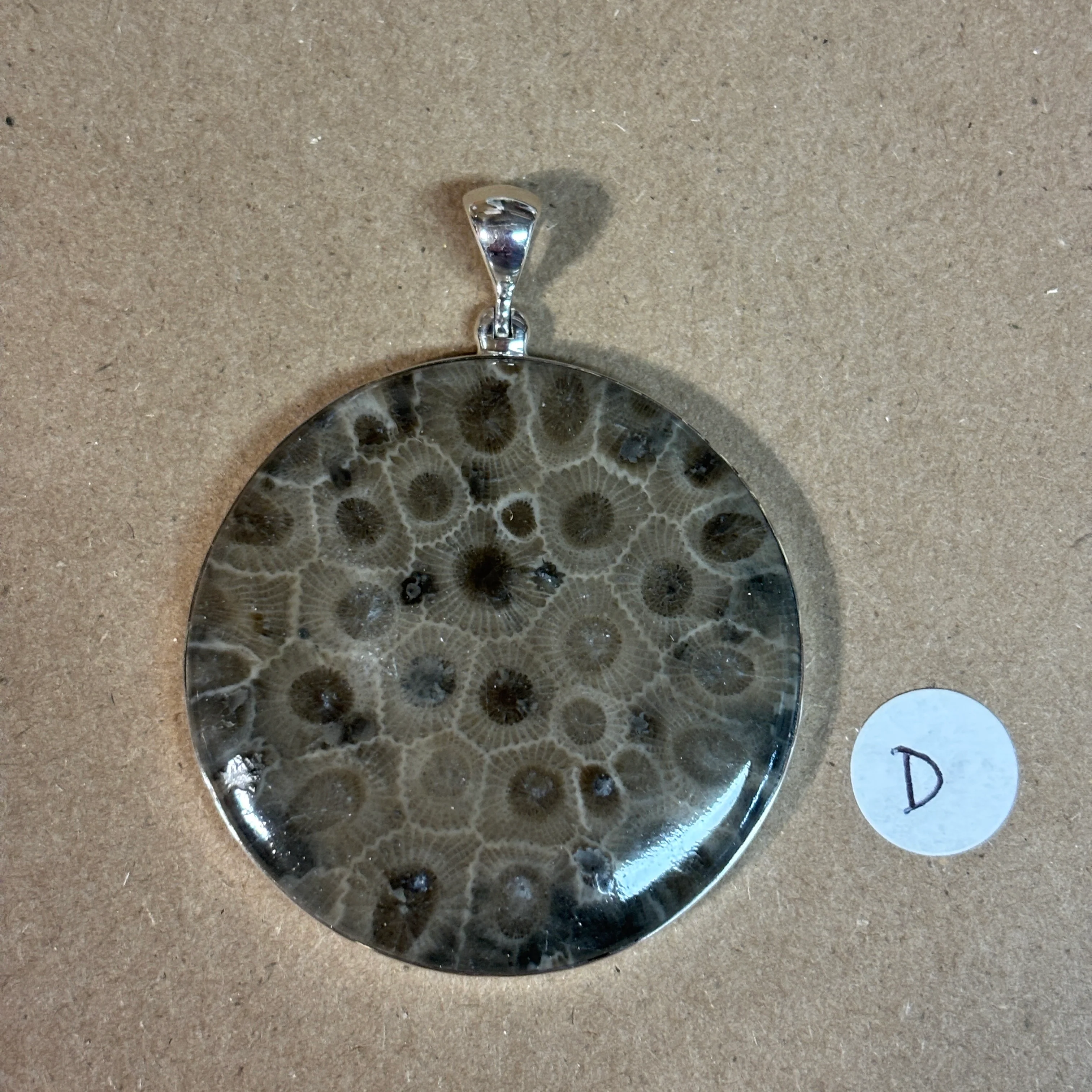 Petoskey Stone Necklace Pendant Encased in Sterling Silver Circle Shape - Image 4